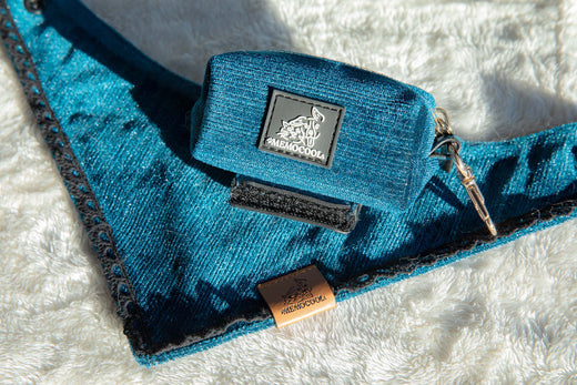 What are some practical yet enjoyable holiday gifts for dogs?