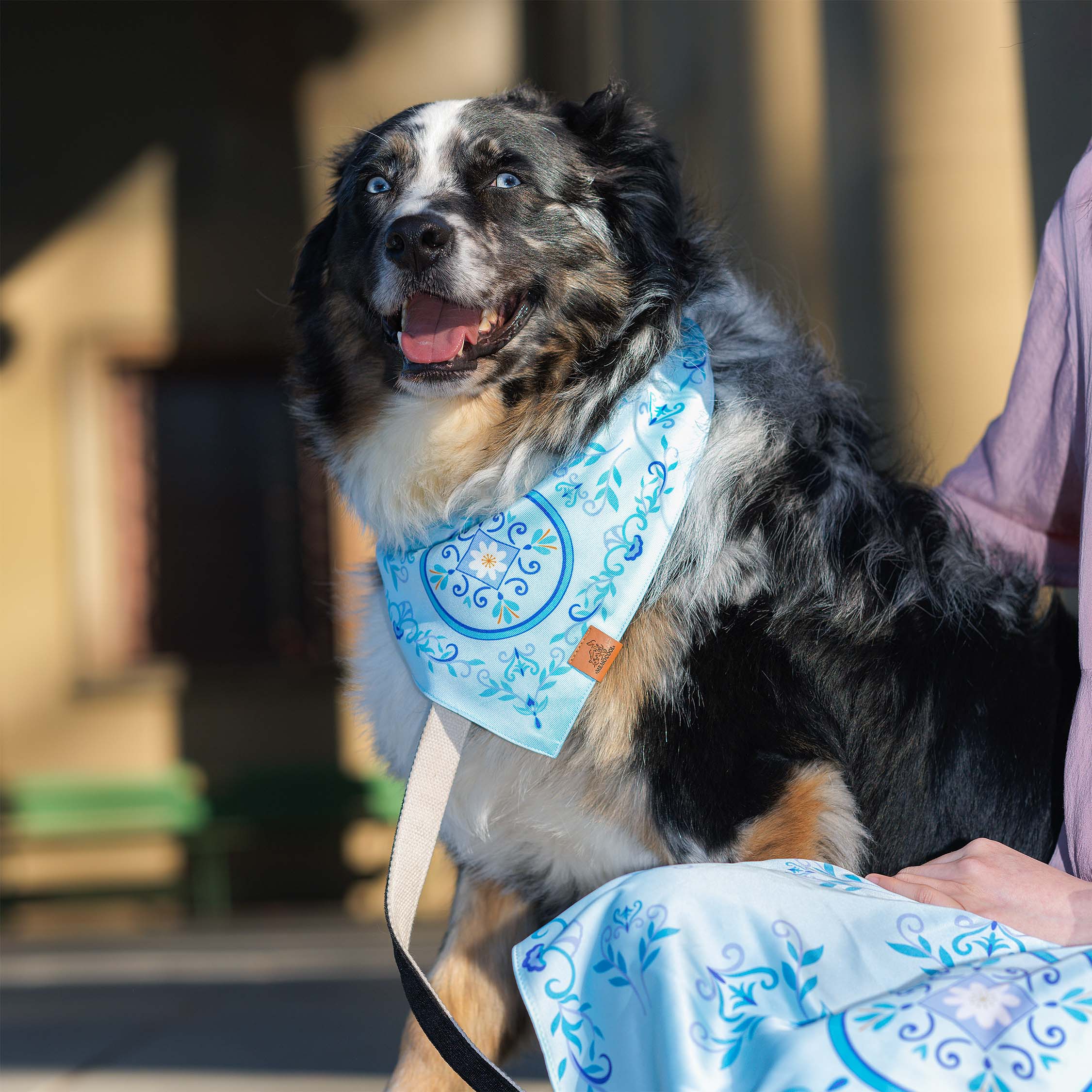 MemoCool Pet - Vintage Garden Collection - Nostalgic Daisy Design - Pet Bandana - Silk Scarf for Human