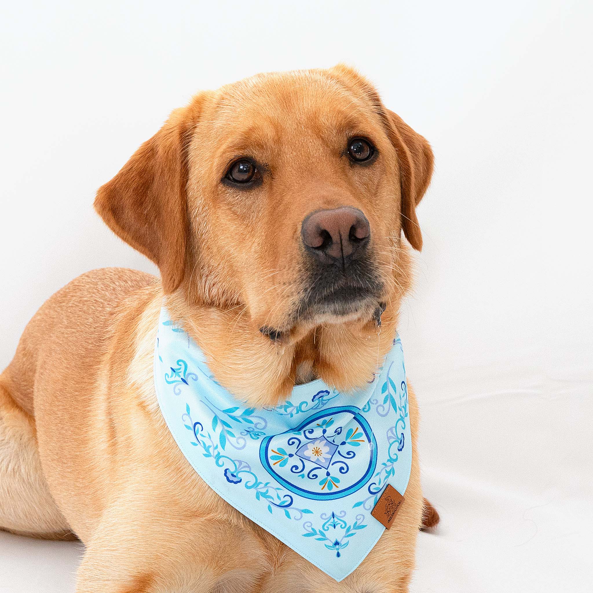 Nostalgic Blue Daisy Clip-On Pet Bandana