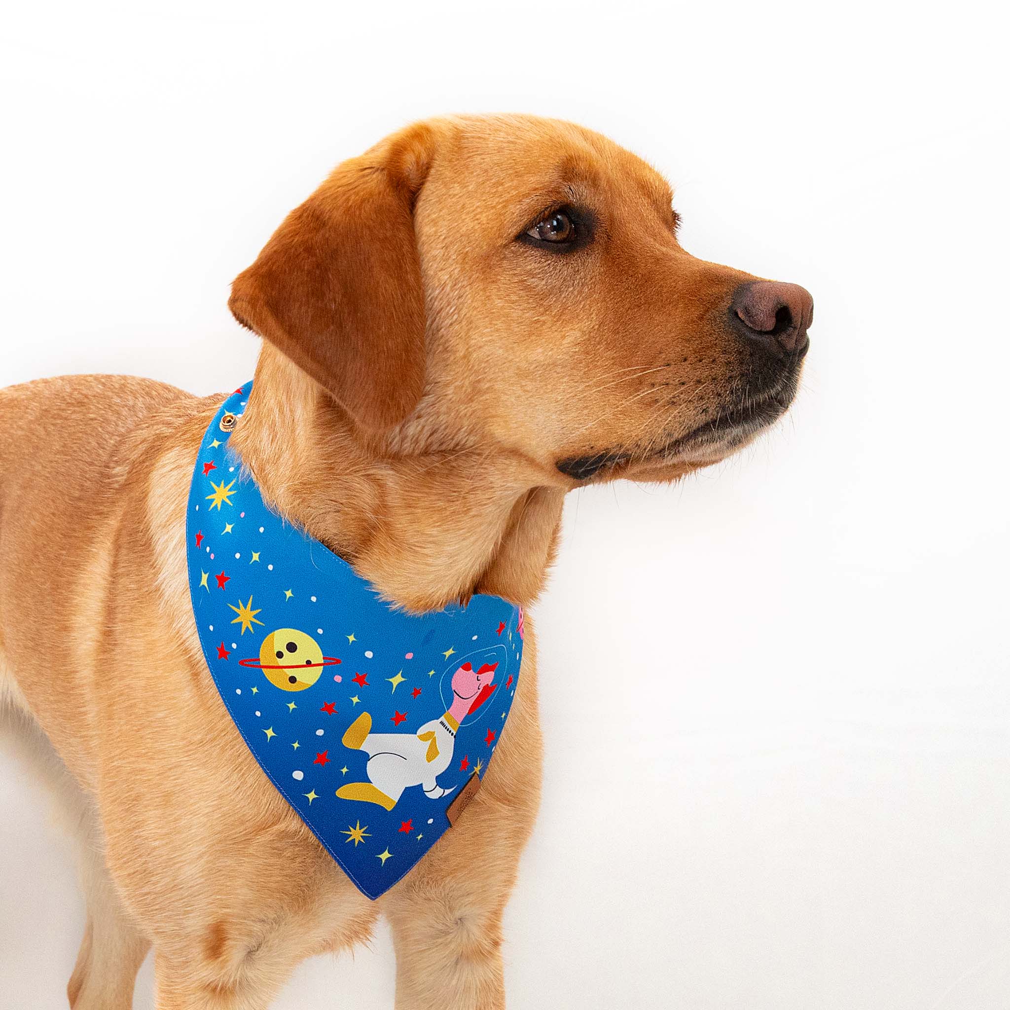 Doggo Astronaut Clip-On Pet Bandana