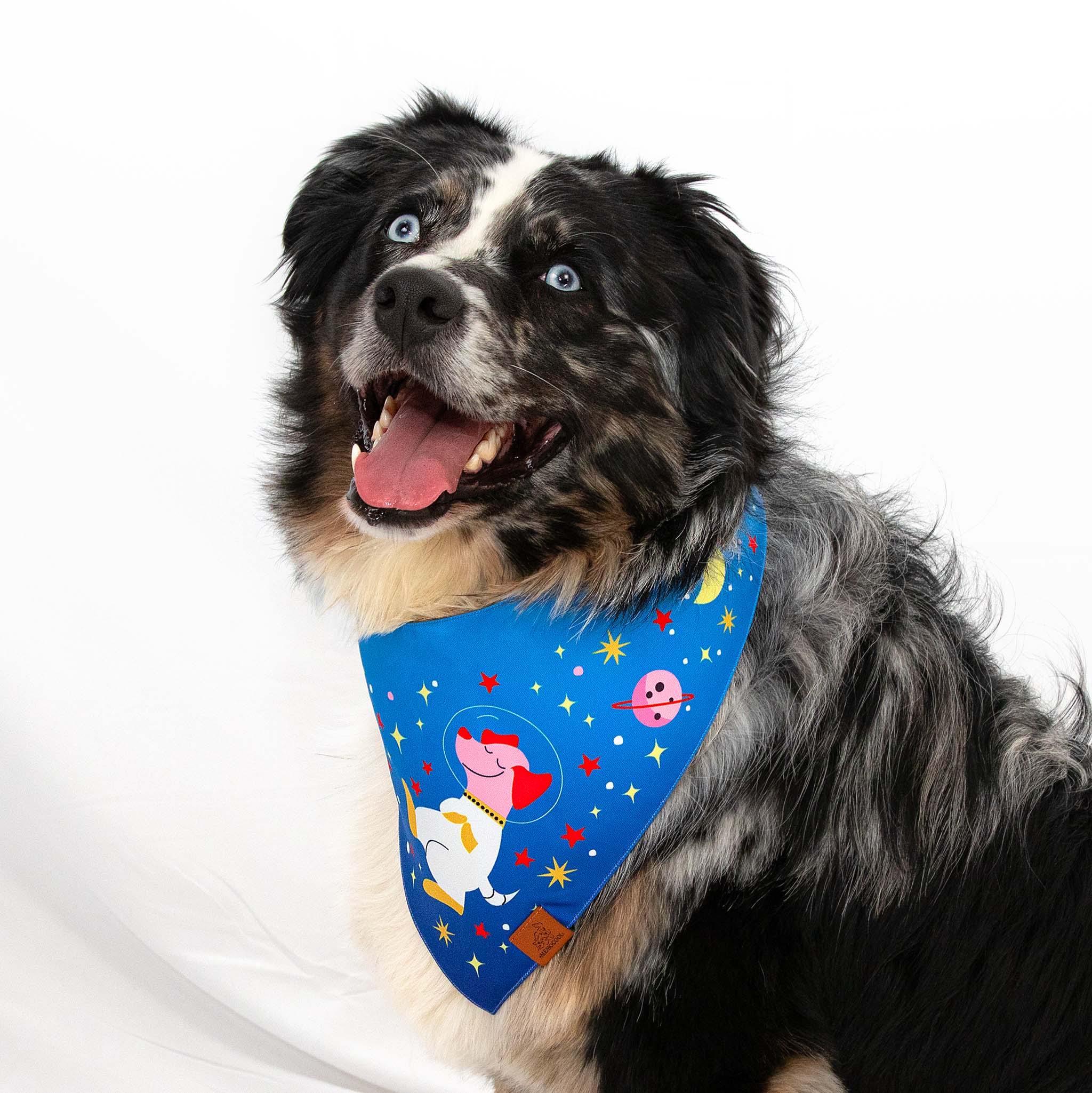 Doggo Astronaut Clip-On Pet Bandana