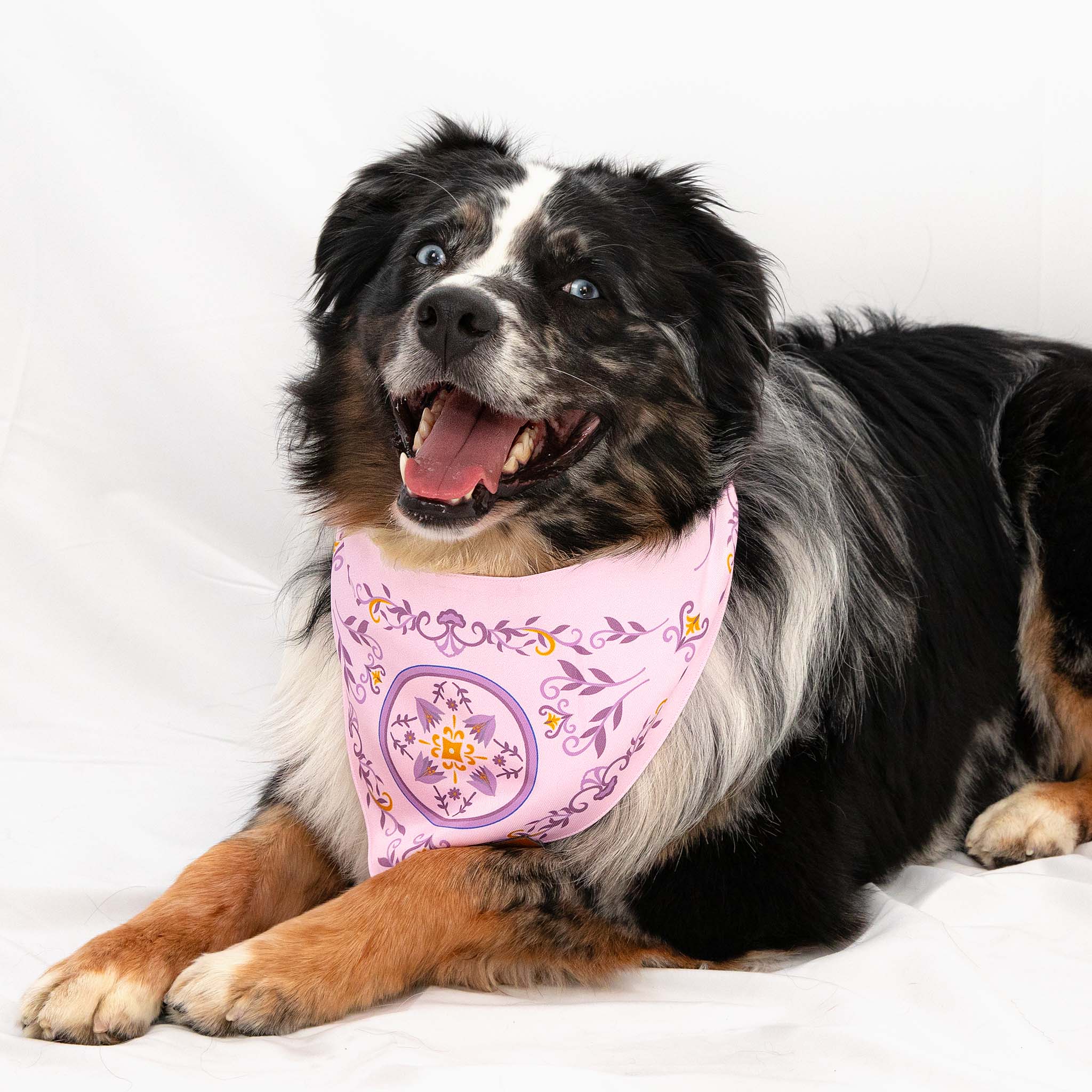 Elegant Purple Crocus Clip-On Pet Bandana