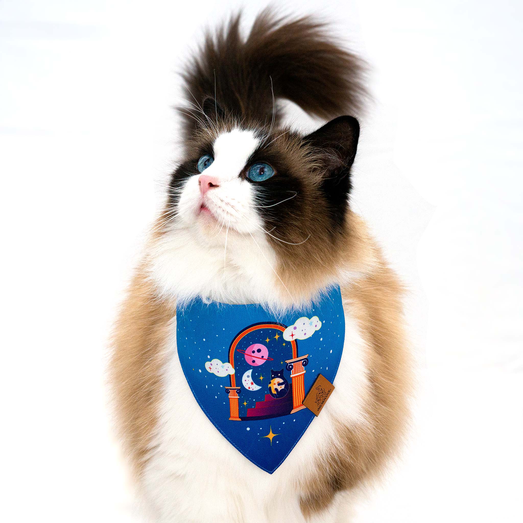 Midnight Magician Kitten Clip-On Pet Bandana