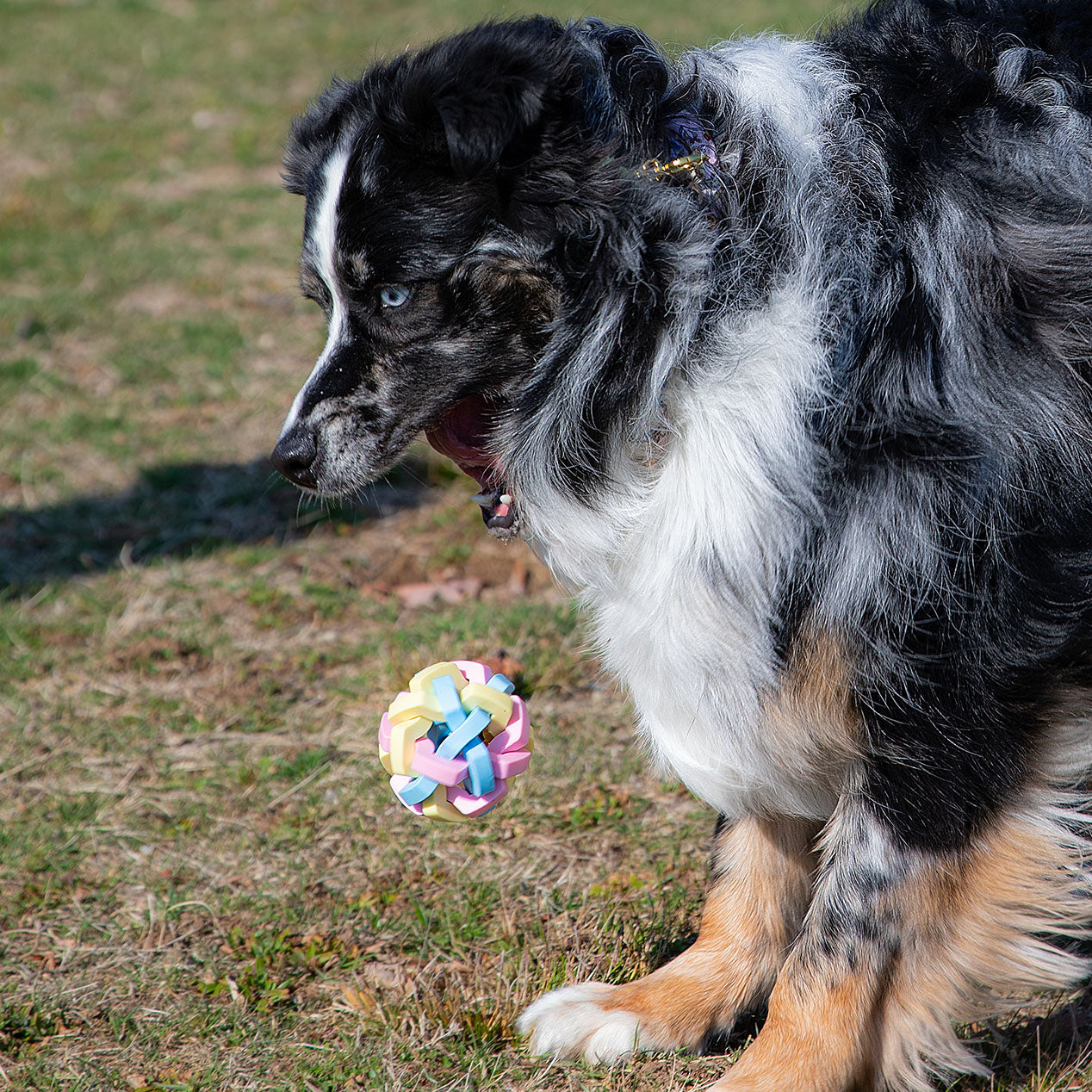 MemoCool Pet - Twisted Macaron Dog Toy Ball - Interactive Dog Toys - Outdoor Dog Toys - Puppy Fetch - Rubber Ball - Metal Bell - Macaron Pink Blue Yellow Color - Aussie Model - Outdoor