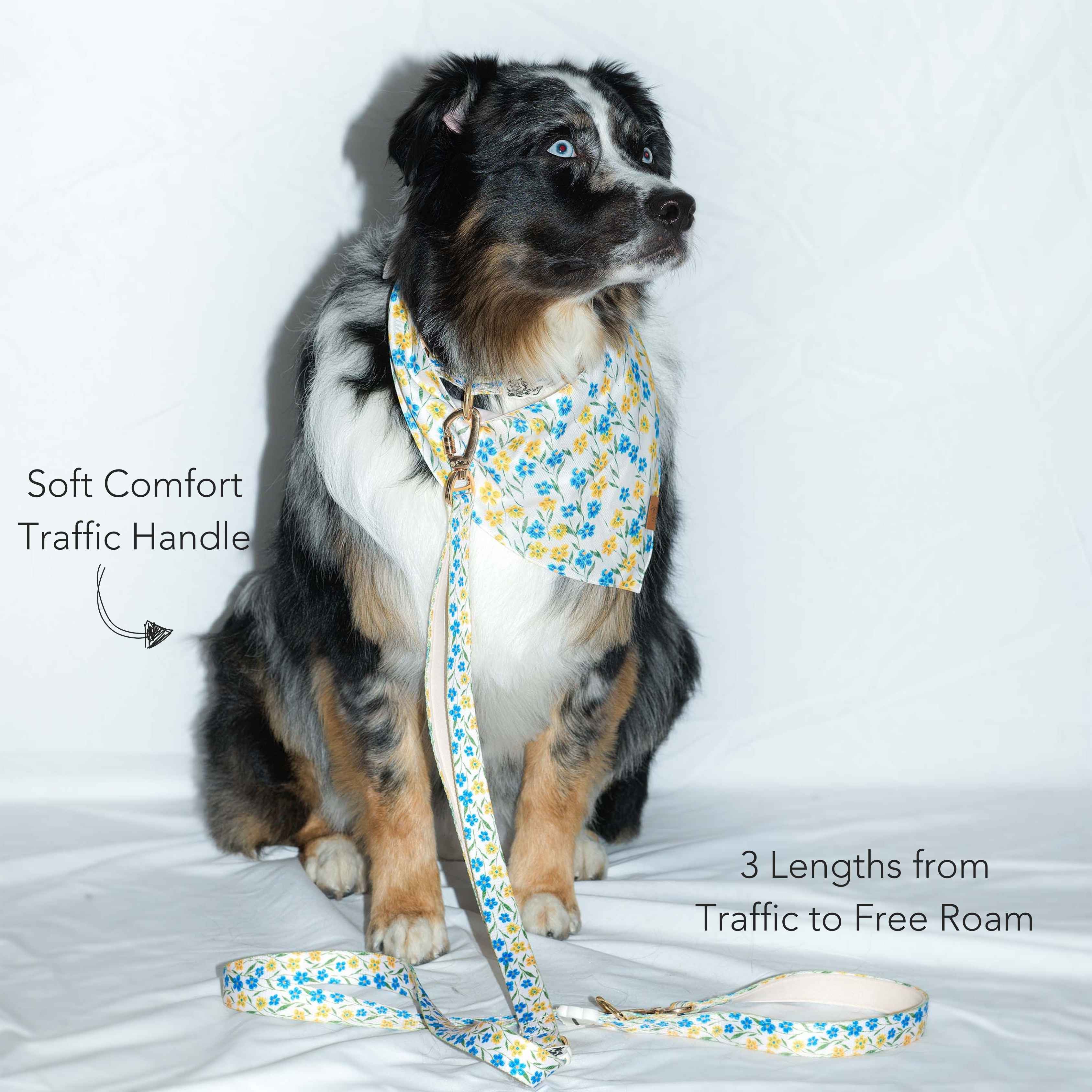 MemoCool Pet - Watercolor Palette - Wild Flower - Blue - Yellow - Studio Photo - Dog - Australian Shepherd - Description