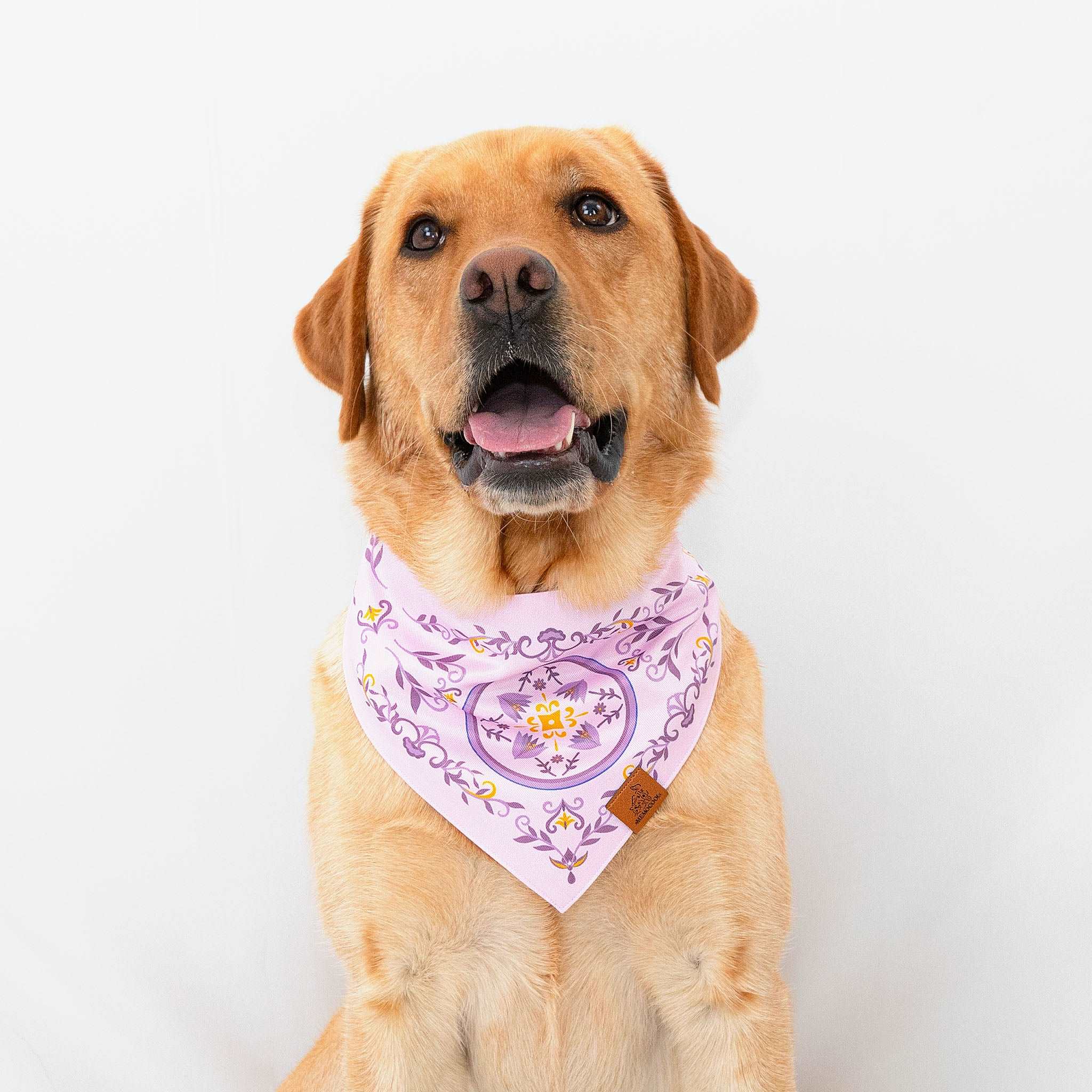 MemoCool Pet - Elegant Purple Crocus Pet Bandana - V-shape for perfect fit