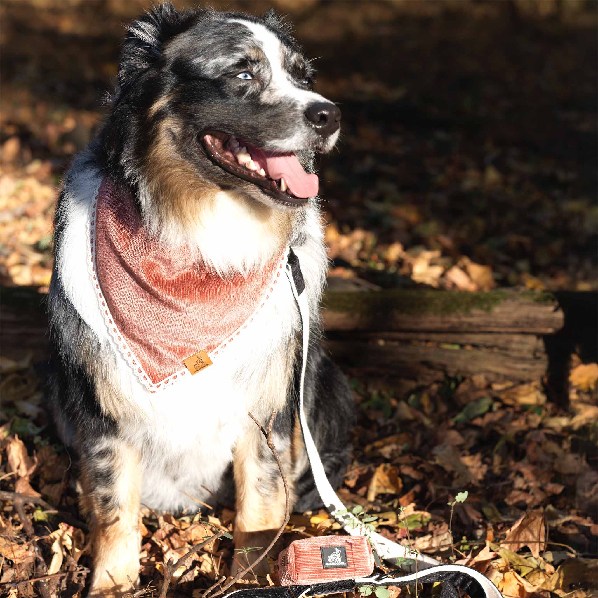 MemoCool Pet - Golden Classics Collection - Velvet Red - Pet Bandana -Poop Bag Holder