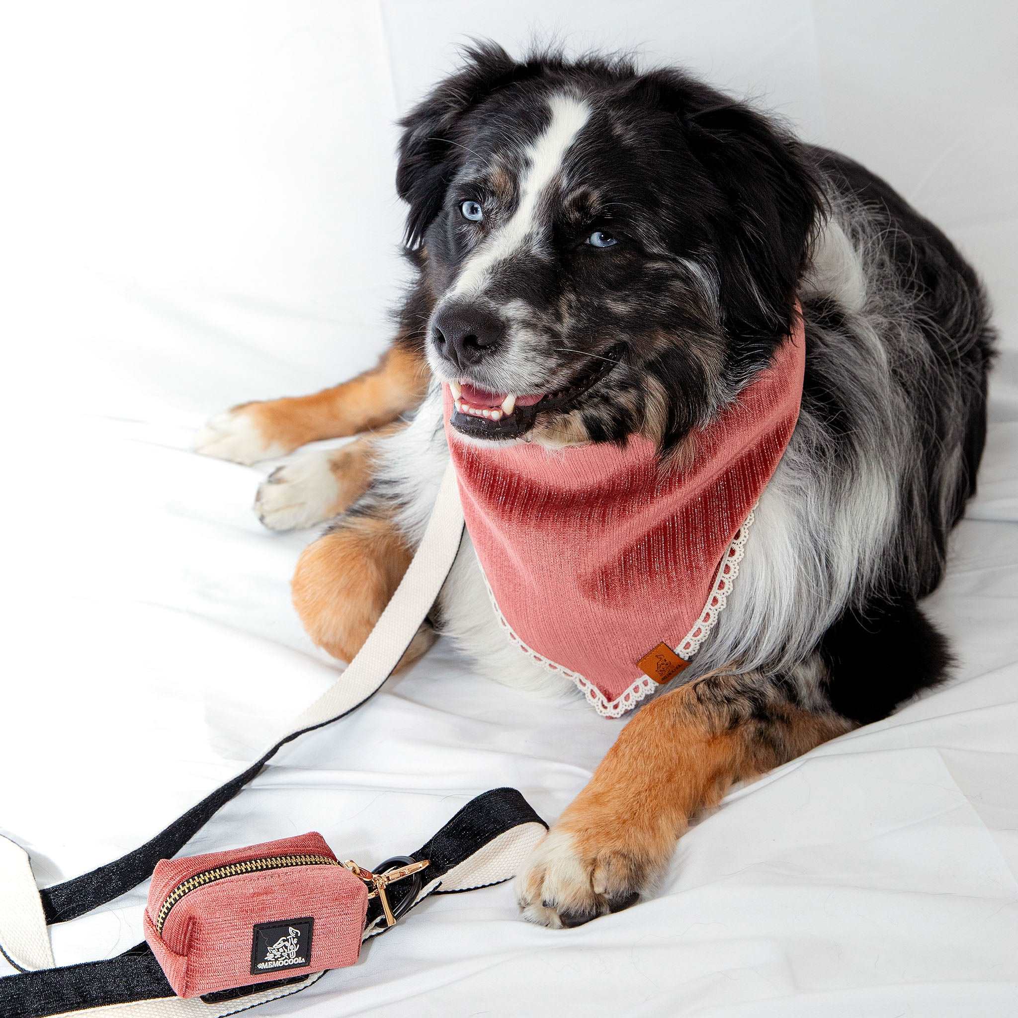 MemoCool Pet - Golden Classics Collection - Velvet Red Pet Bandana, paired with Poop Bag Holder