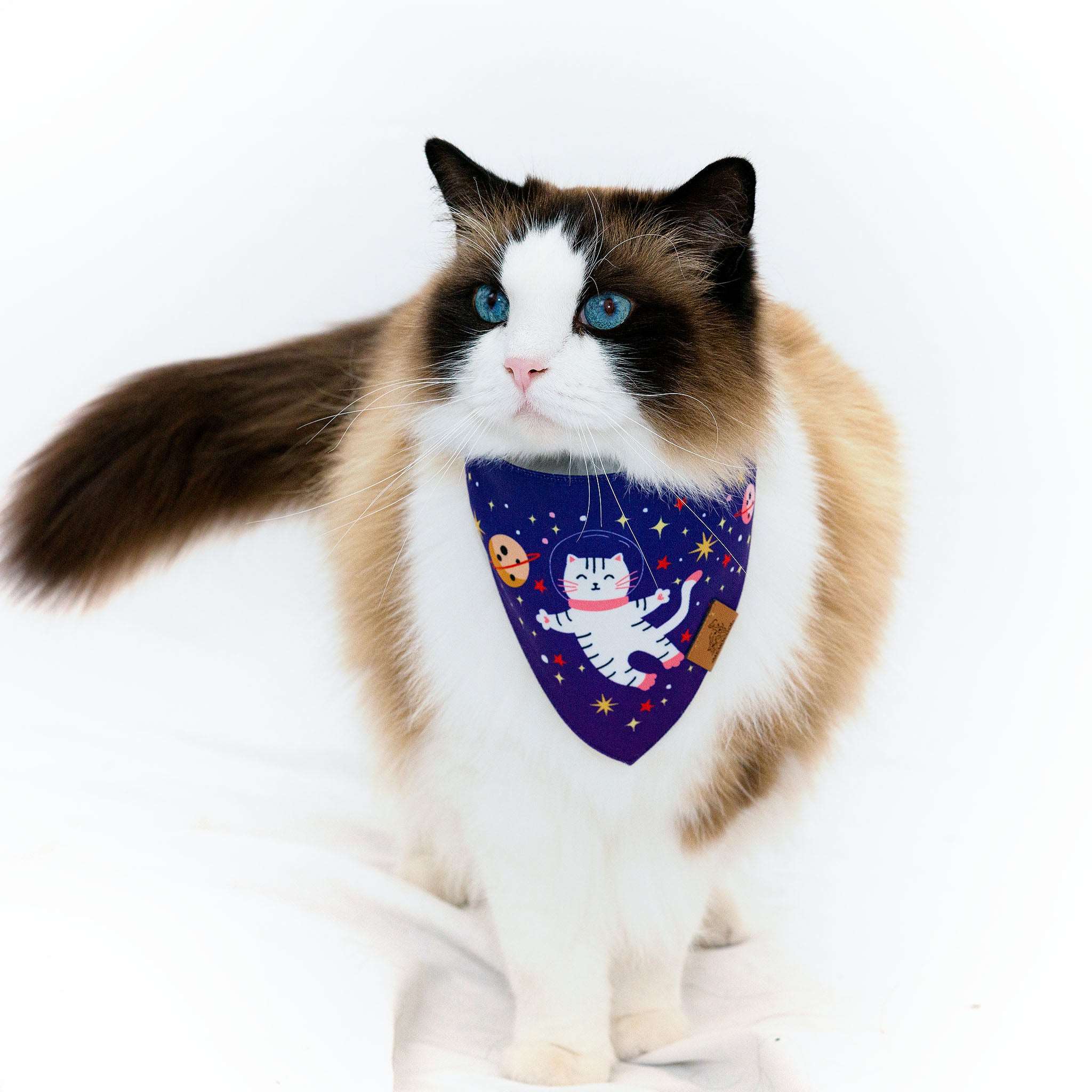 MemoCool Pet - Kitten Astronaut Pet Bandana - V-shape for Perfect Fit - Ragdoll Cat