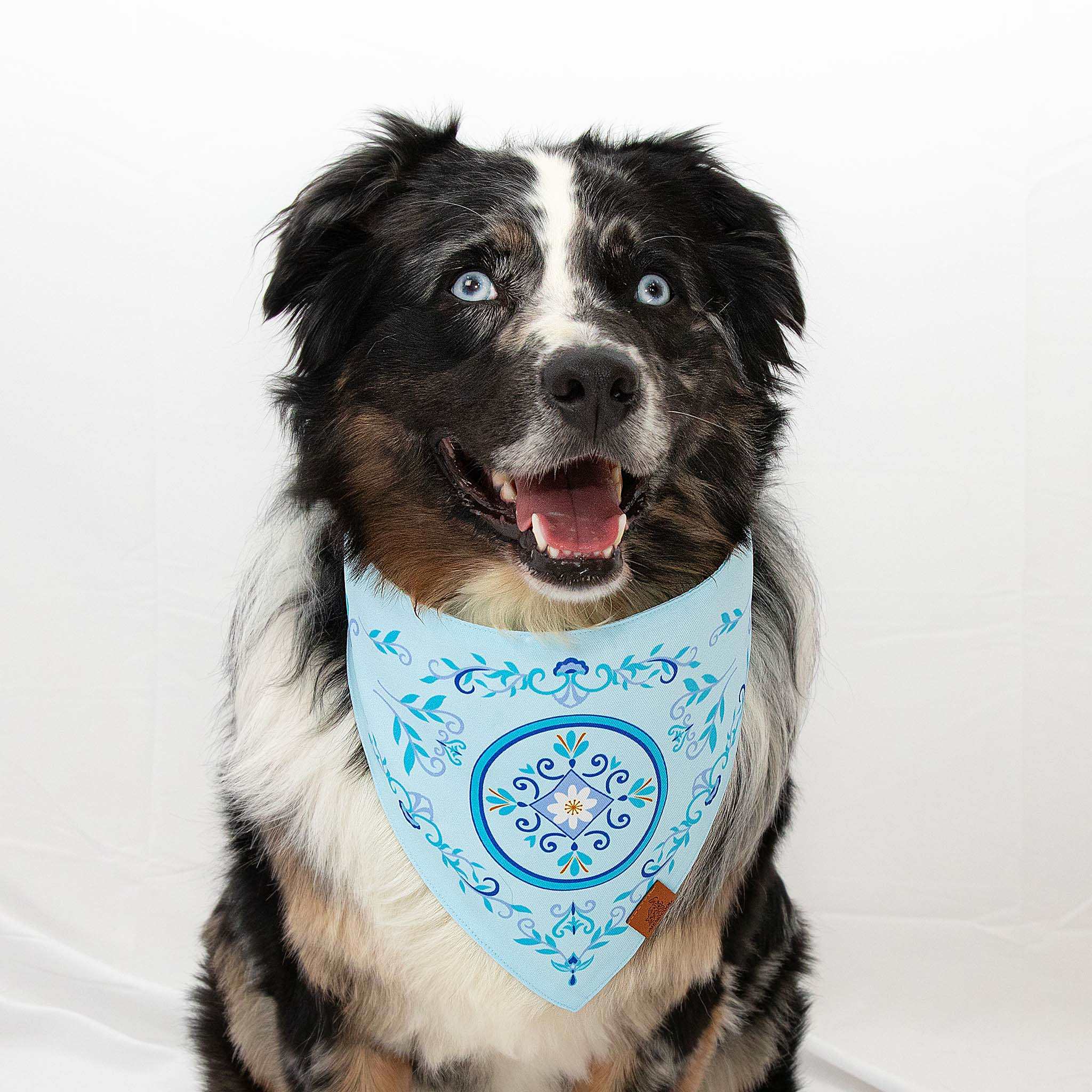 MemoCool Pet - Nostalgic Blue Daisy Pet BMemoCool Pet - Nostalgic Blue Daisy Pet Bandana - V-shape for perfect fit 1