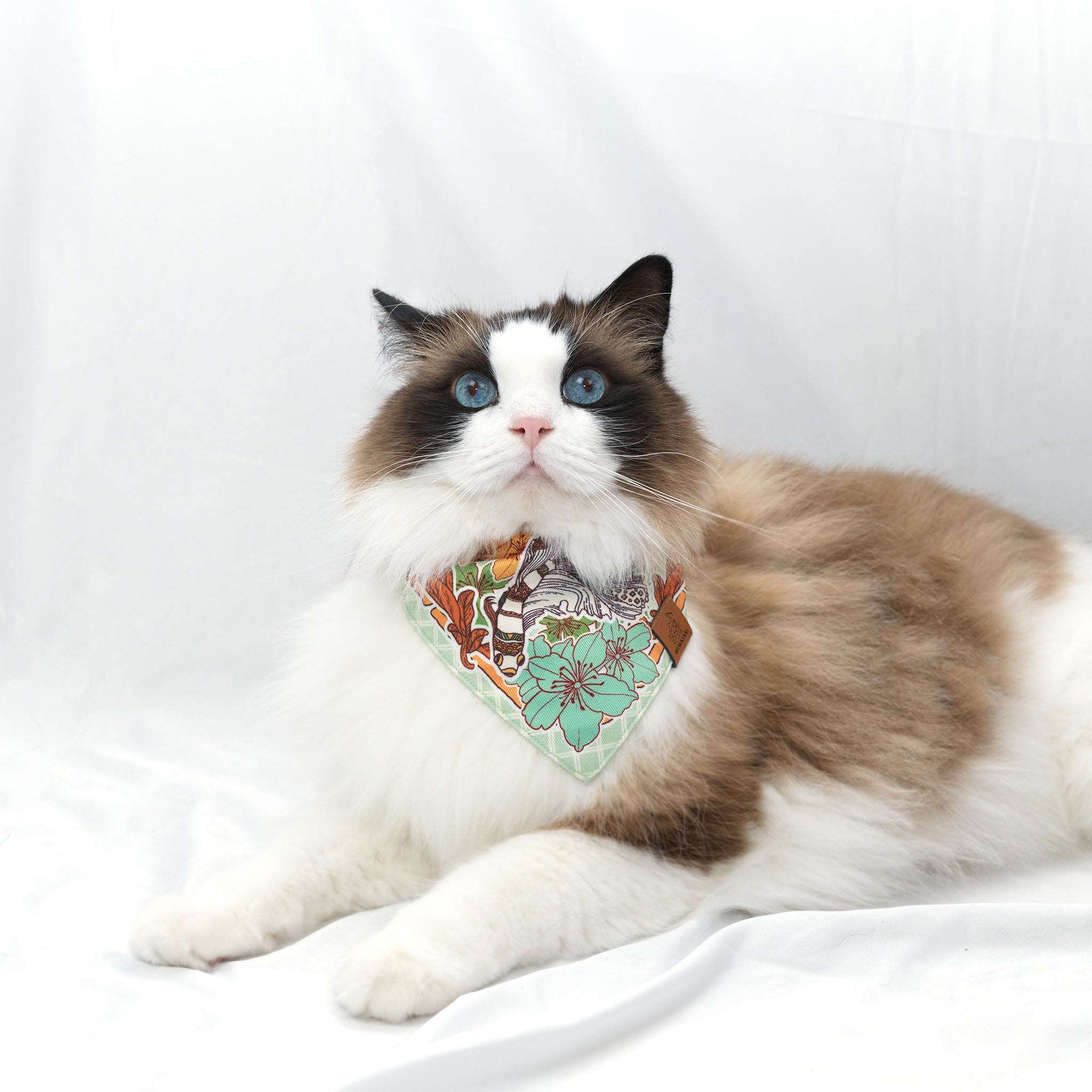 MemoCool Pet - Start of Spring Goldfish Pet Bandana - V-shape for perfect fit - Ragdoll Cat