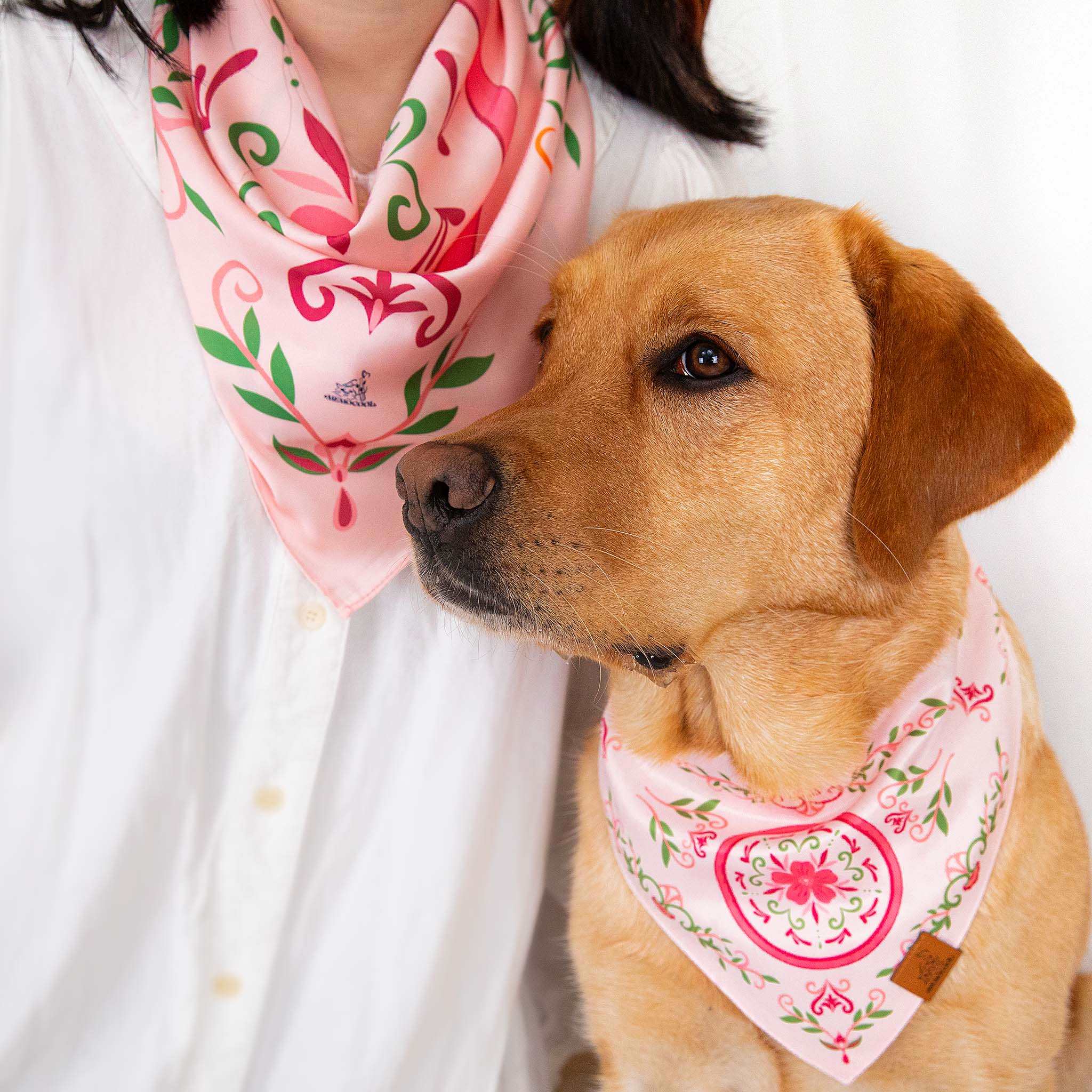 MemoCool Pet - Sweet Pink Sakura Human Silk Scarf - Sweet Pink Sakura Pet Bandana - Paired Style