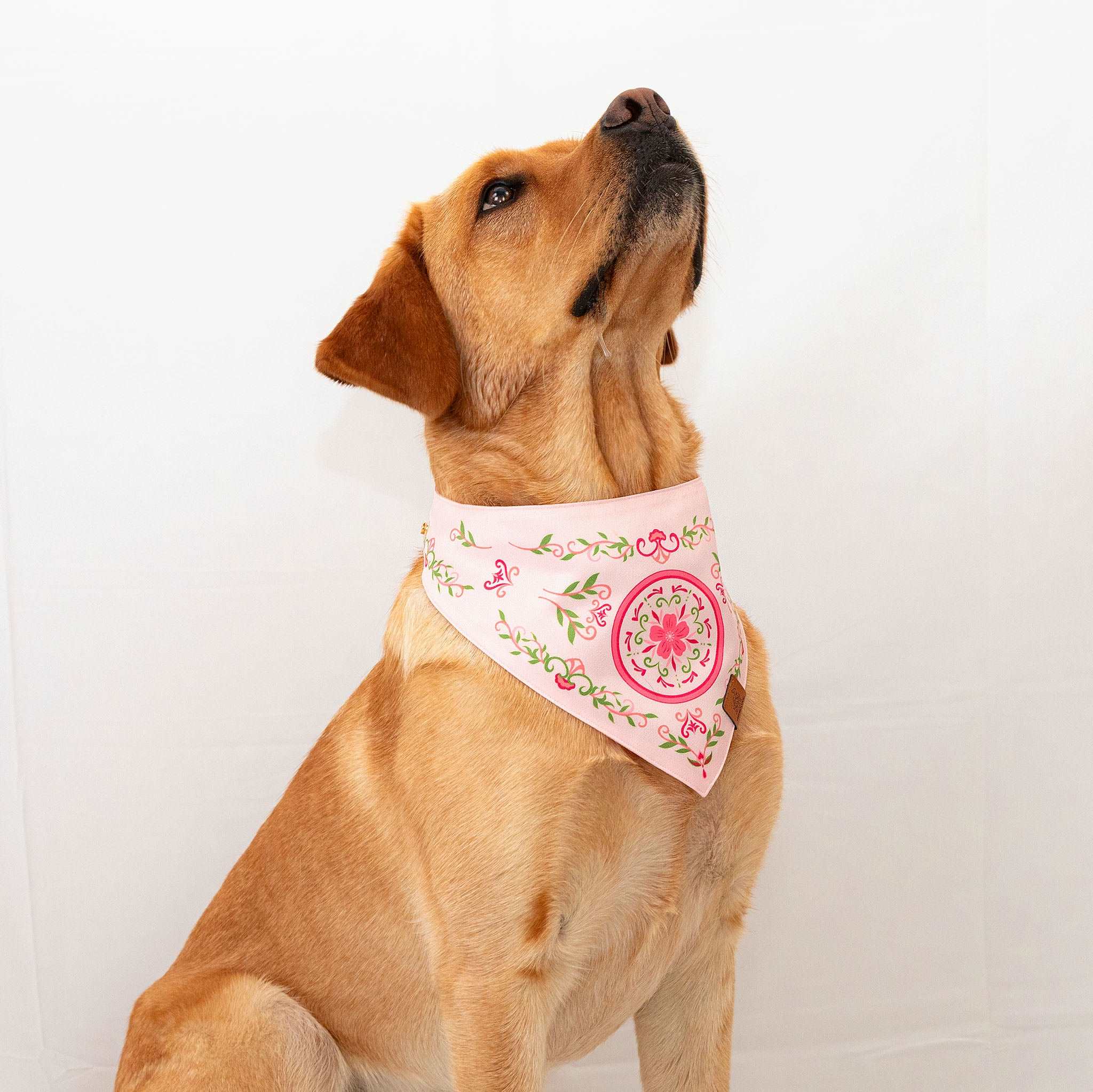 MemoCool Pet - Sweet Pink Sakura Pet Bandana - V-shape for perfect fit