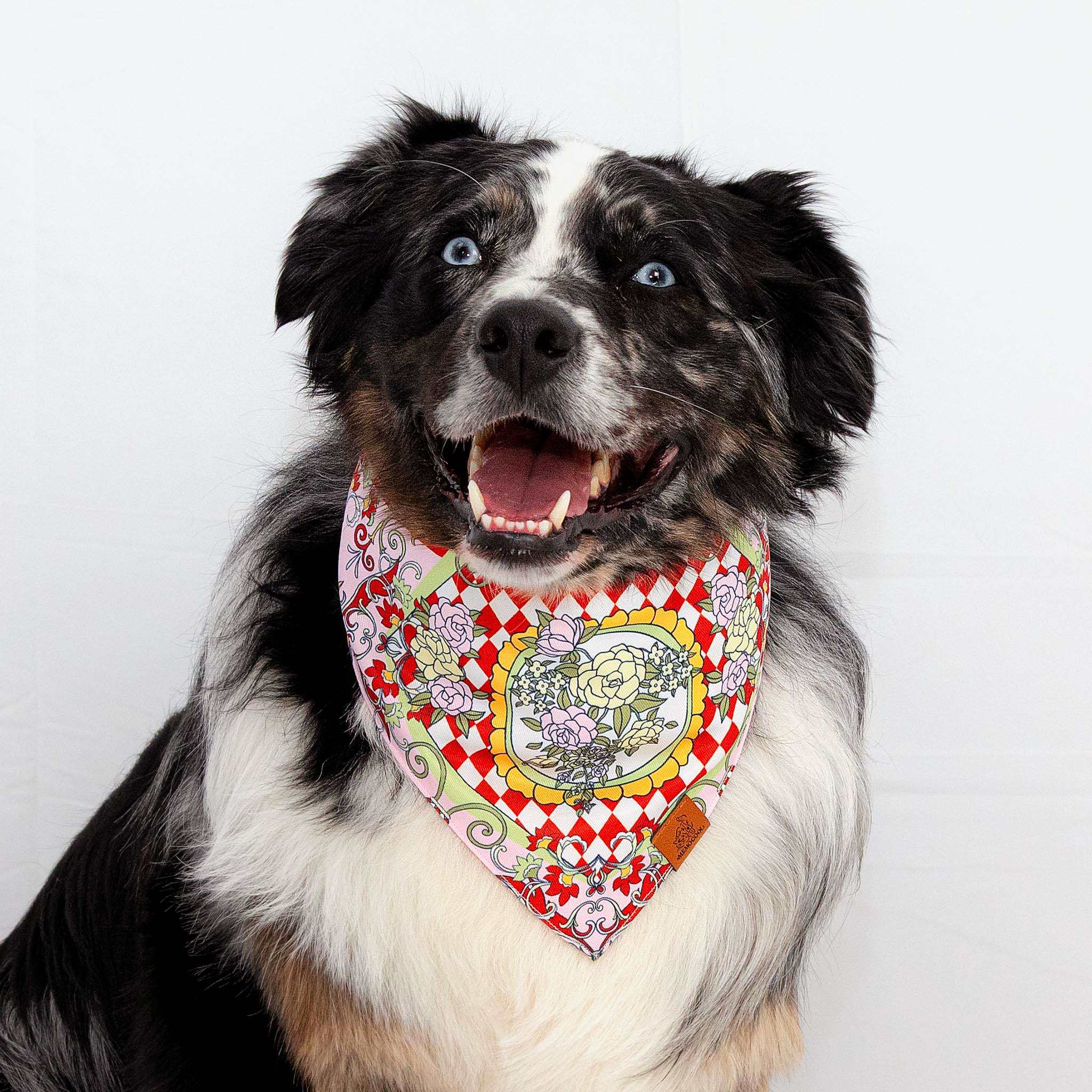 MemoCool Pet - The Gardenia Collection - Red Pet Bandana - Elegant Design