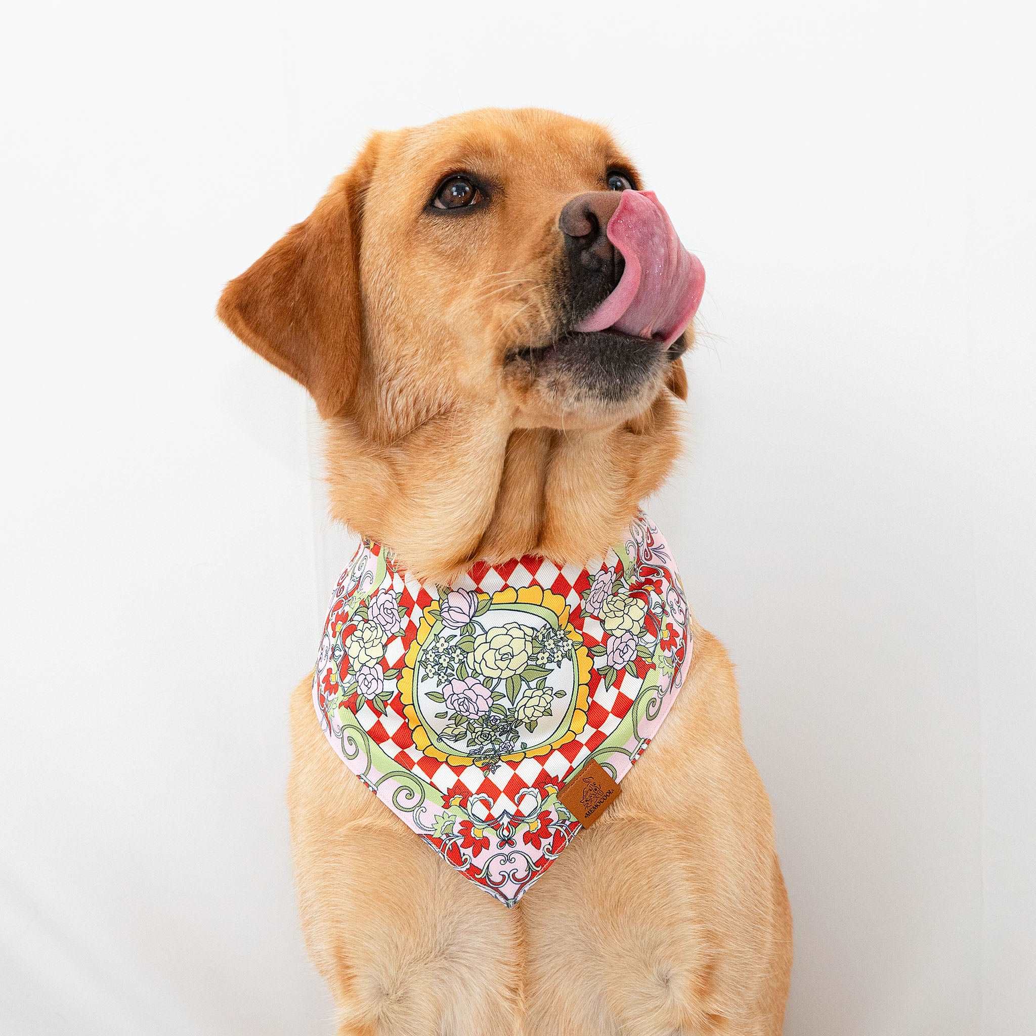 MemoCool Pet - The Gardenia Collection - Red Pet Bandana - Elegant Design - V-shape Perfect Fit