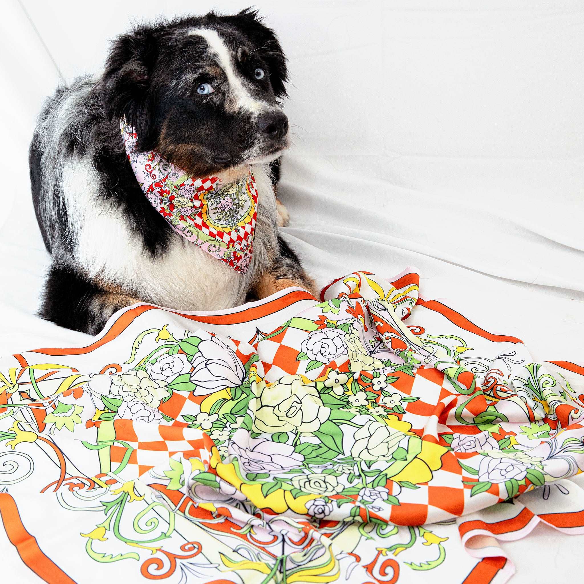 MemoCool Pet - The Gardenia Collection - Red Pet Bandana - Human Silk Scarf - Paired Style