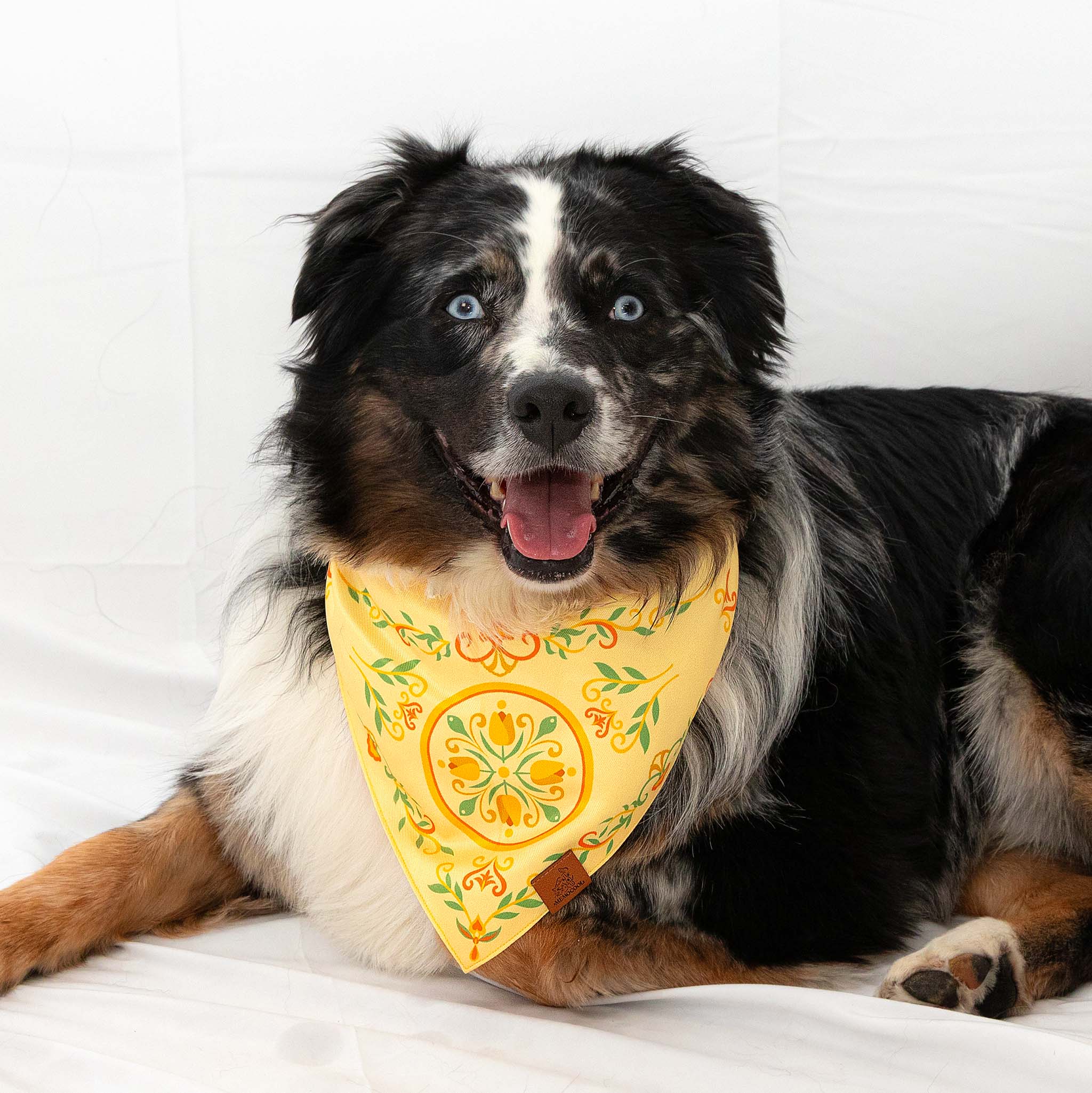 MemoCool Pet - Vintage Garden - Energetic Yellow Tulip Pet Bandana - Clip-On Dog Bandana - Dog - Studio Image