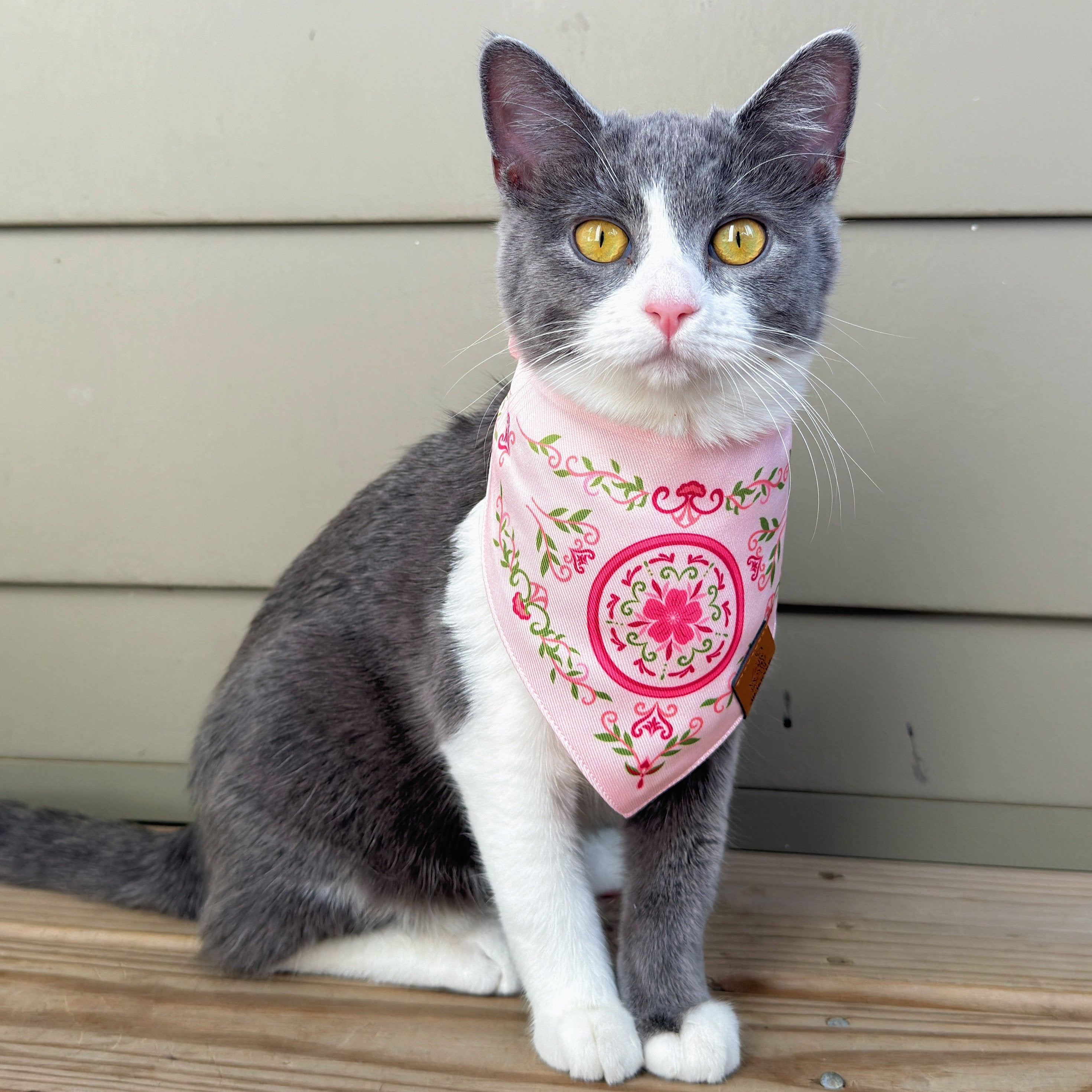 MemoCool Pet - Vintage Garden - Sweet Pink Sakura Pet Bandana - Clip-On Dog Bandana - Cat Bandana - Influencer - UGC - StormyandWhisky