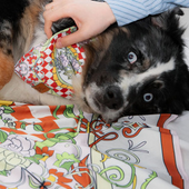 Paired Pet & Human Scarf
