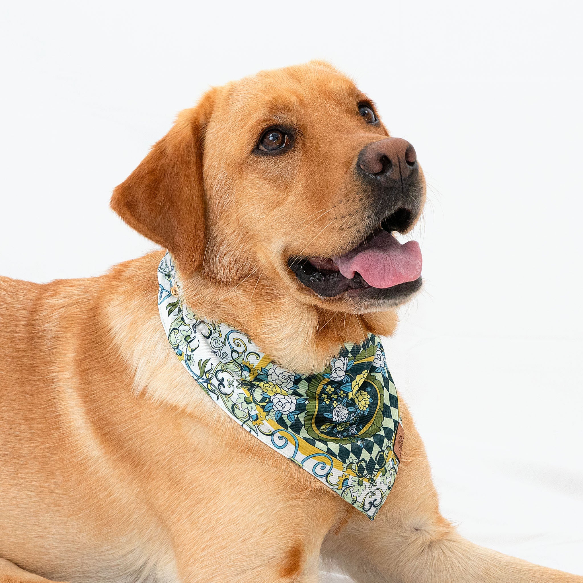 The Gardenia Green Pet Bandana