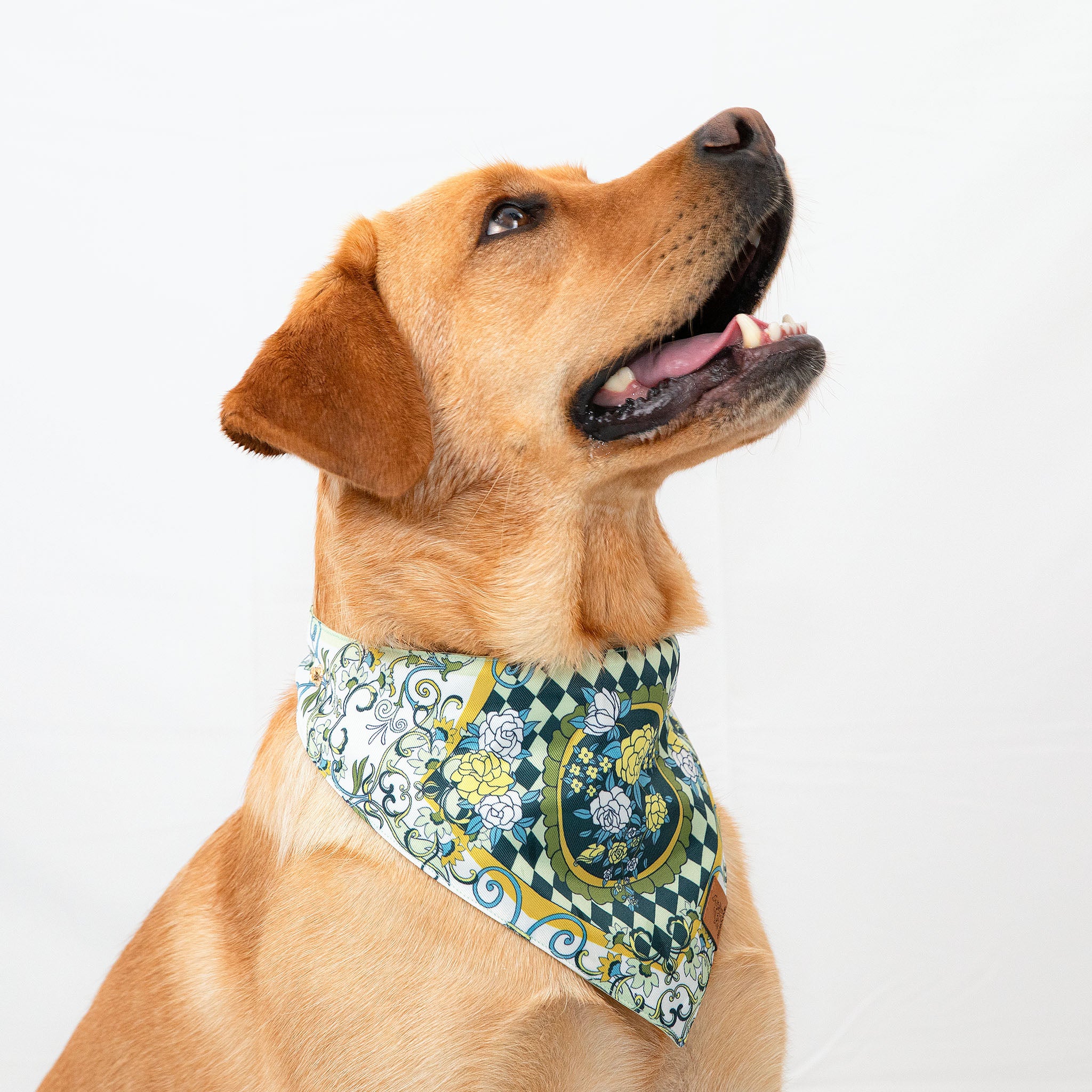 The Gardenia Green Pet Bandana