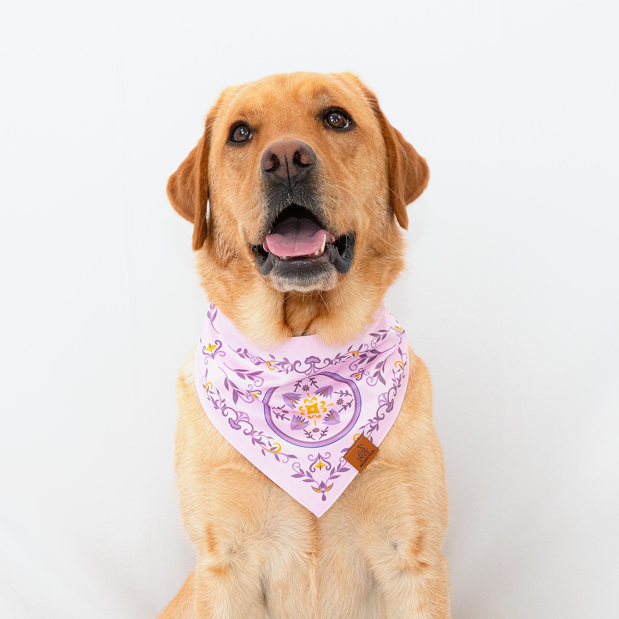 Elegant Purple Crocus Pet Bandana