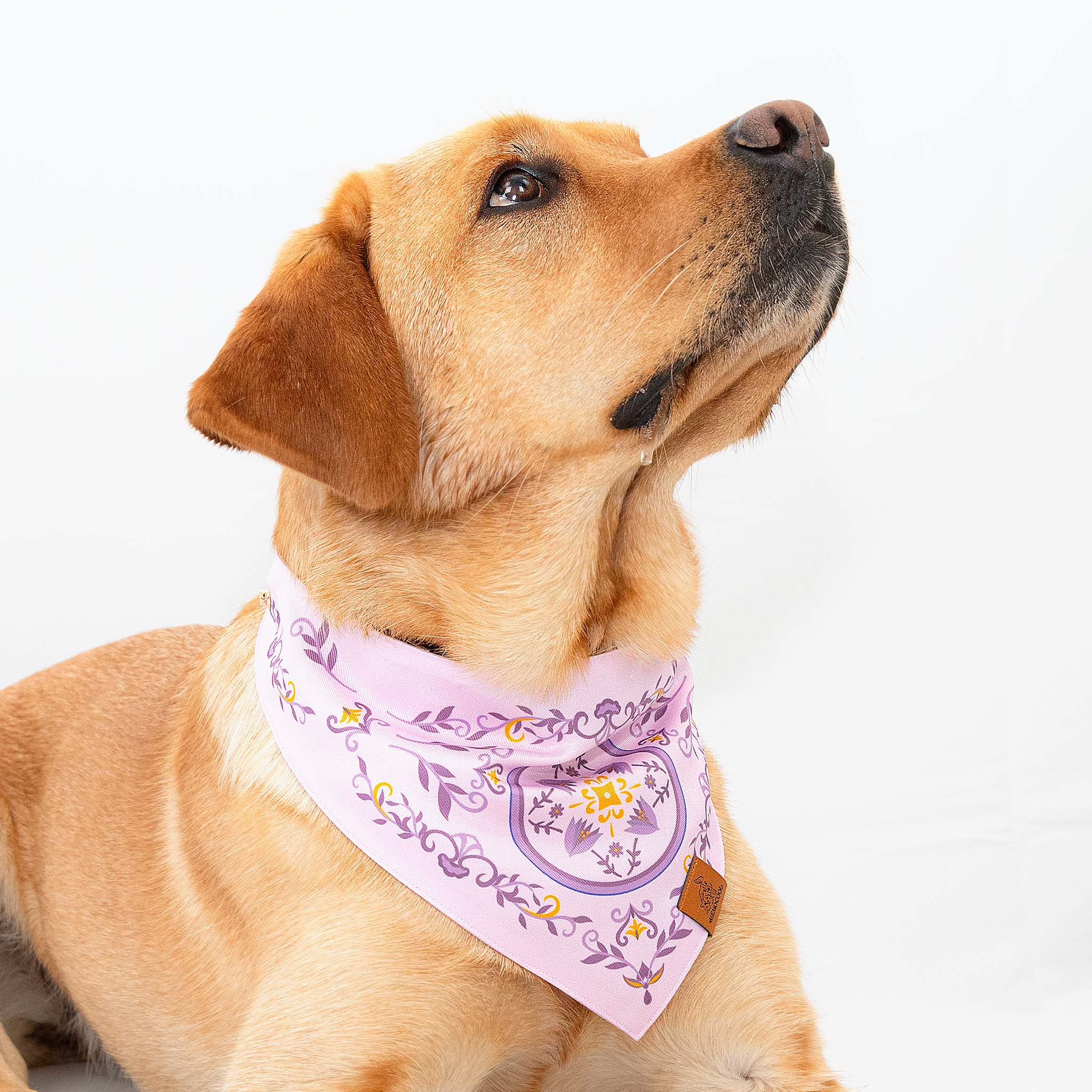 Elegant Purple Crocus Pet Bandana