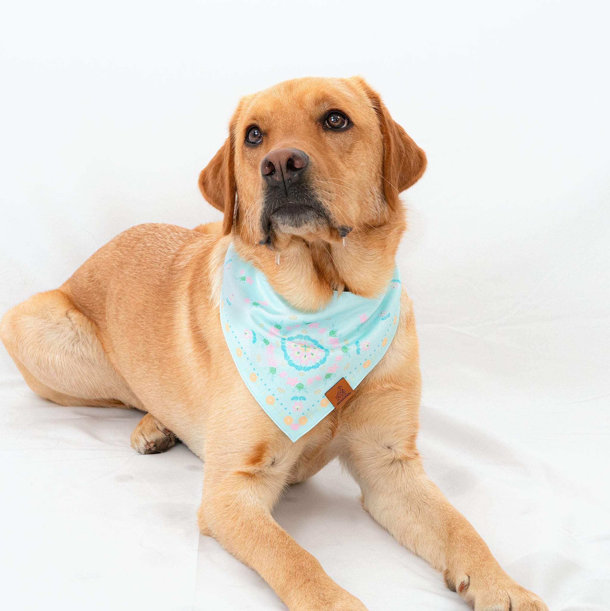 Blooming Lily Blue & Pink Pet Bandana