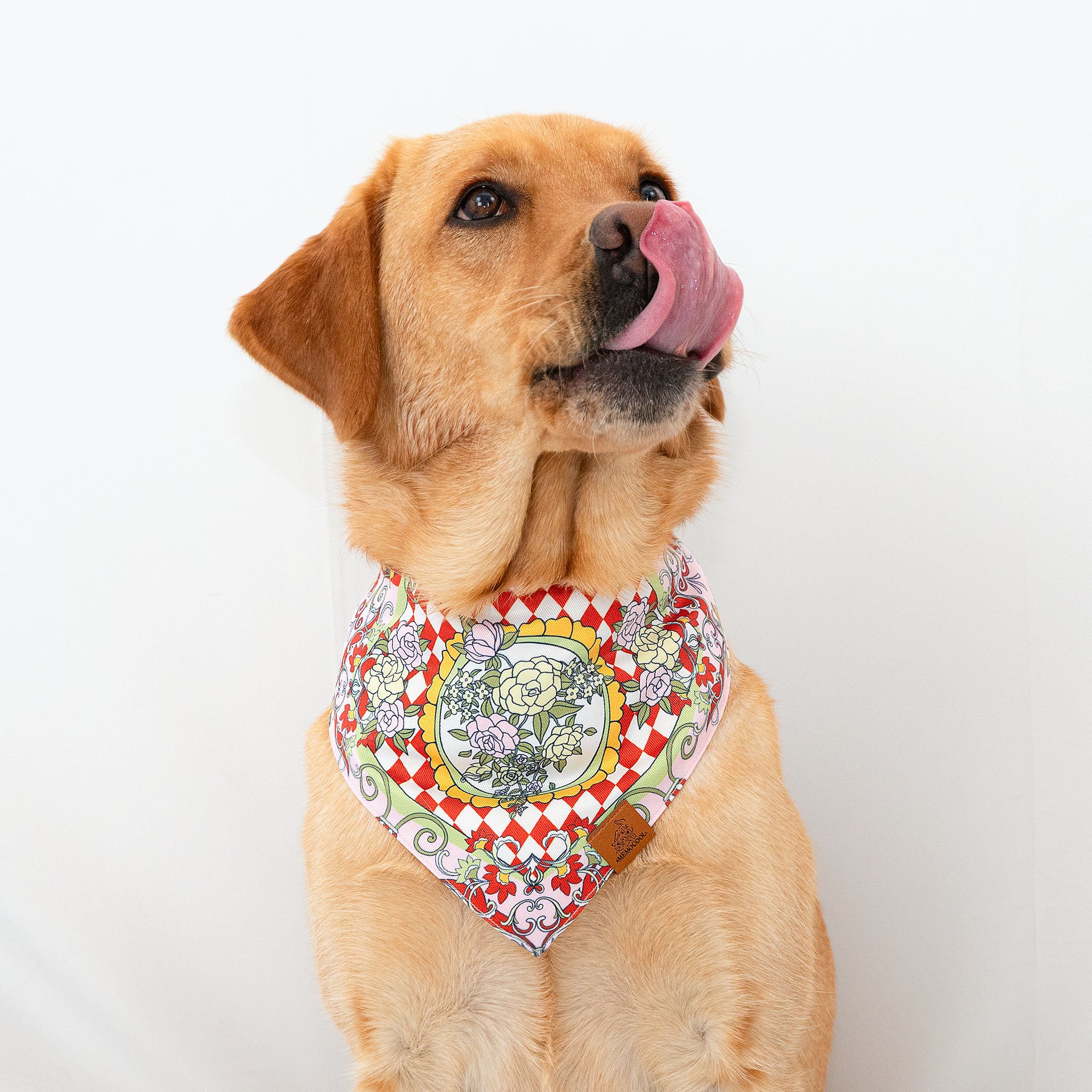 The Gardenia Red Pet Bandana