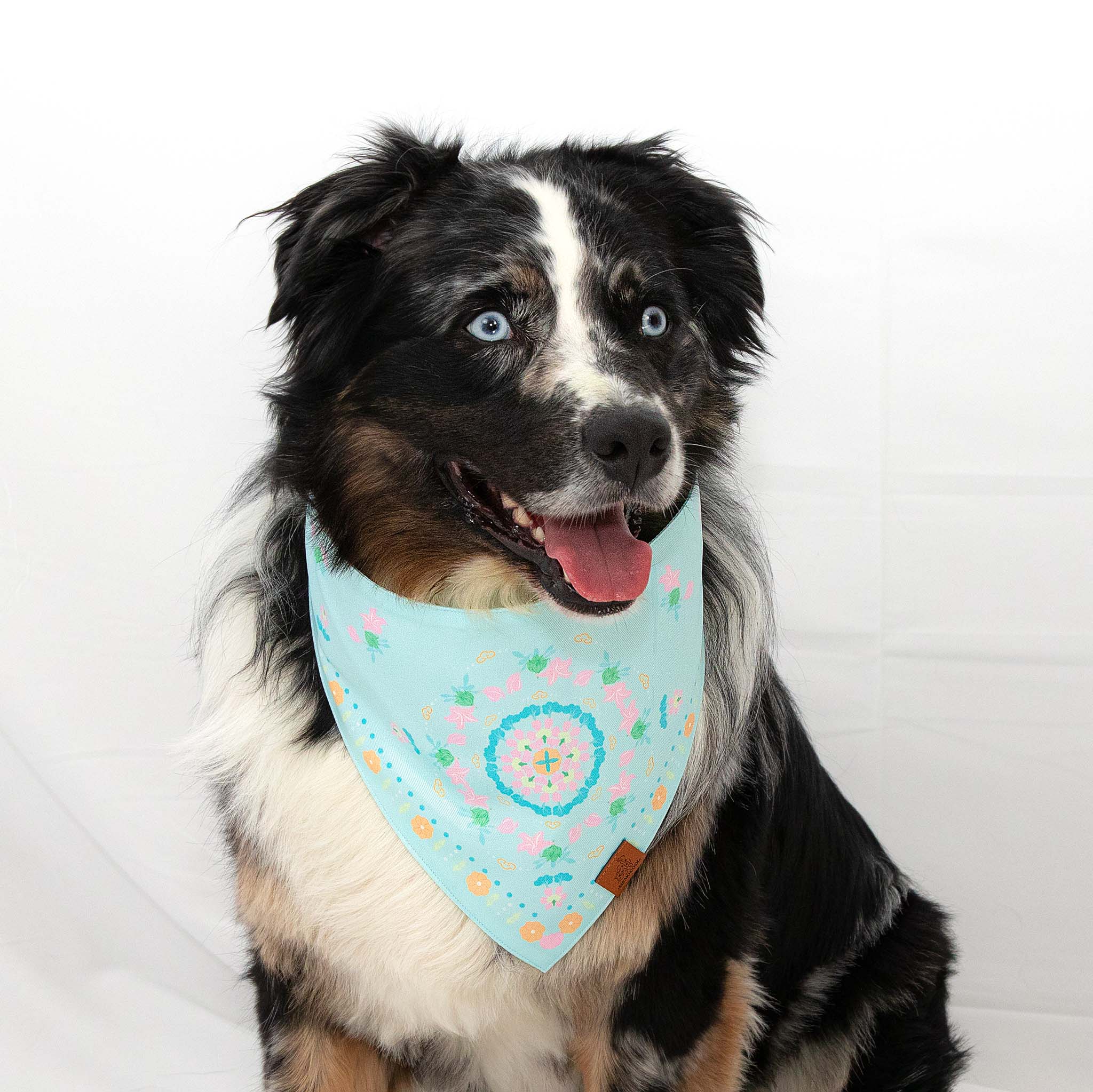 Blooming Lily Blue & Pink Pet Bandana