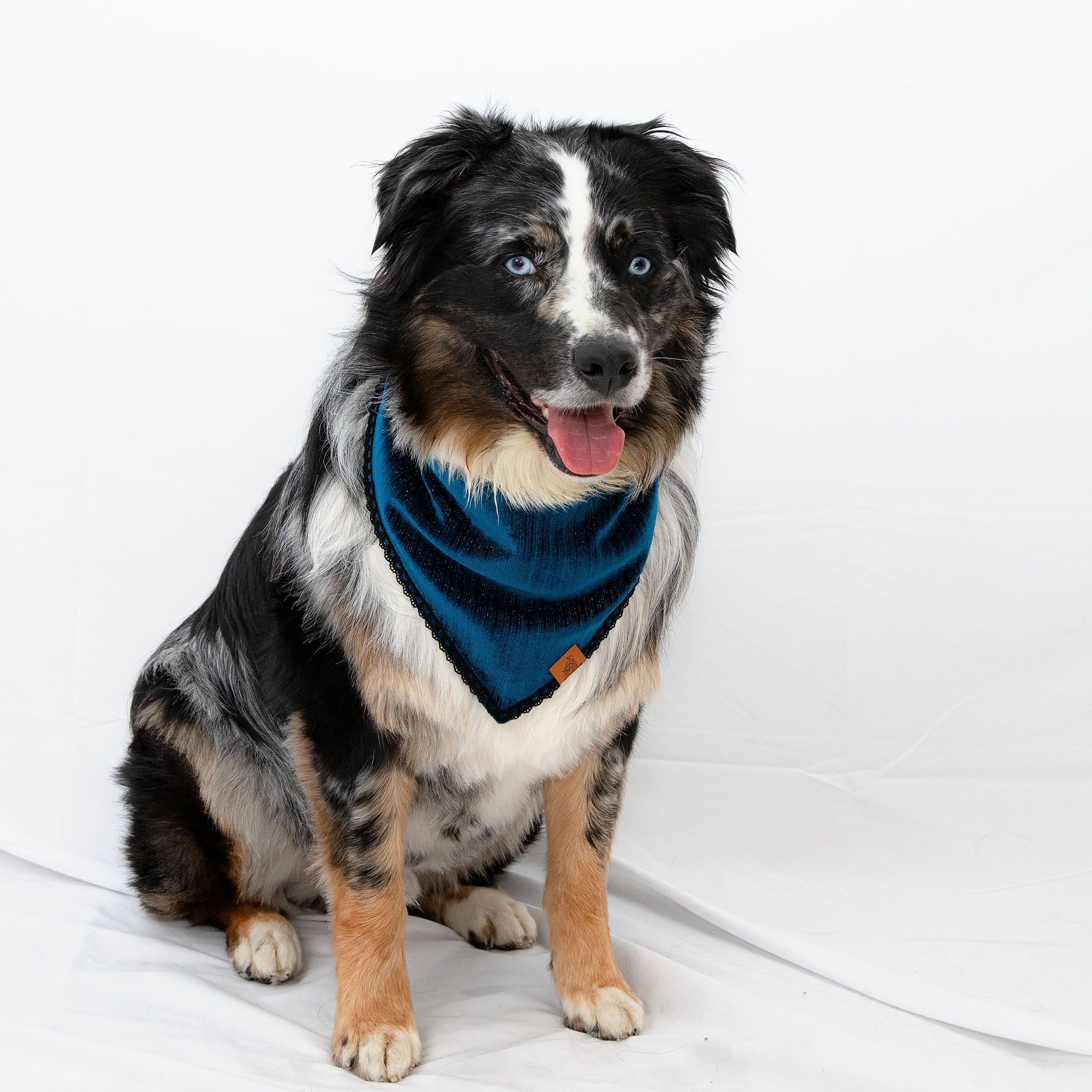 Velvet Blue Pet Bandana