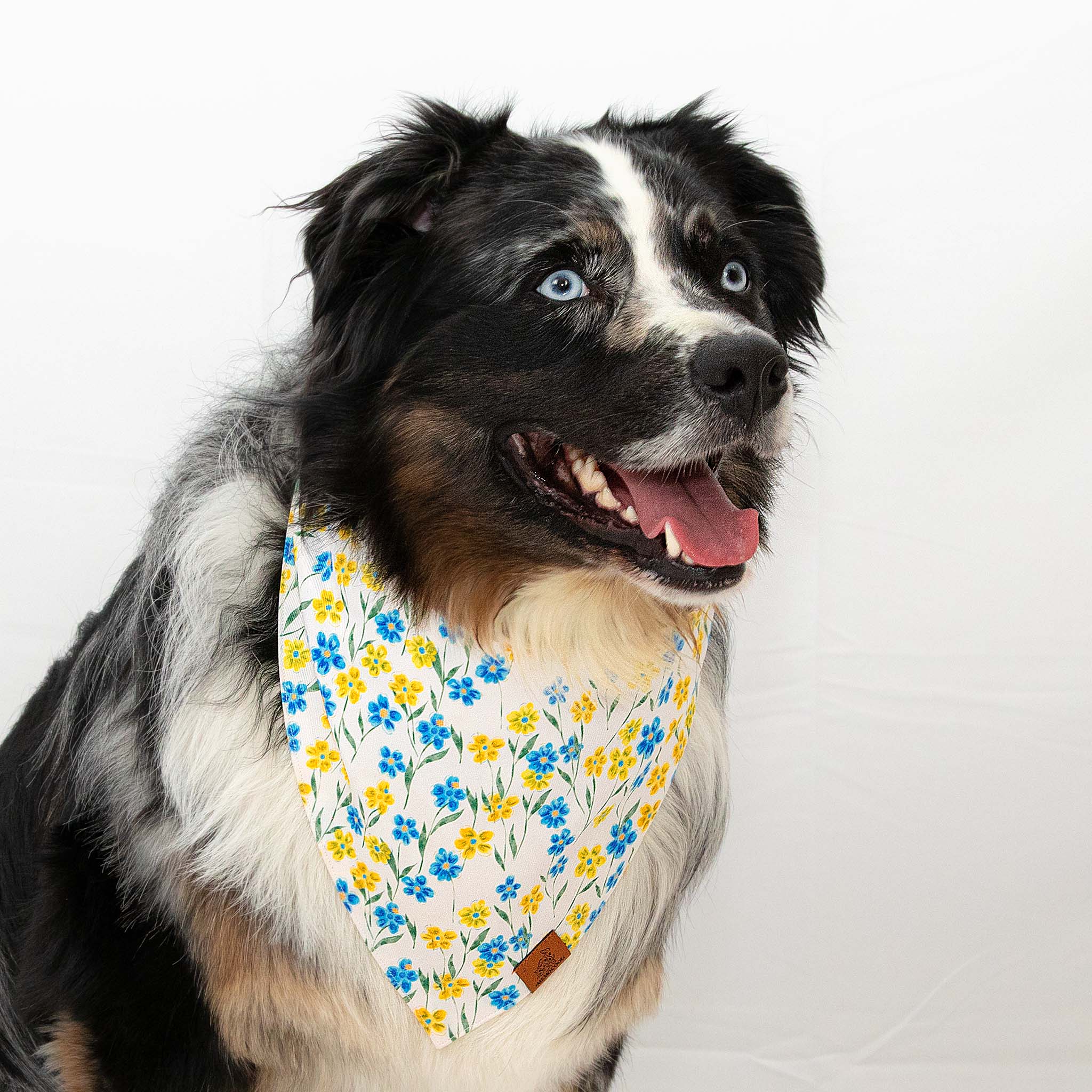 Blue Yellow Wild Flower Pet Bandana