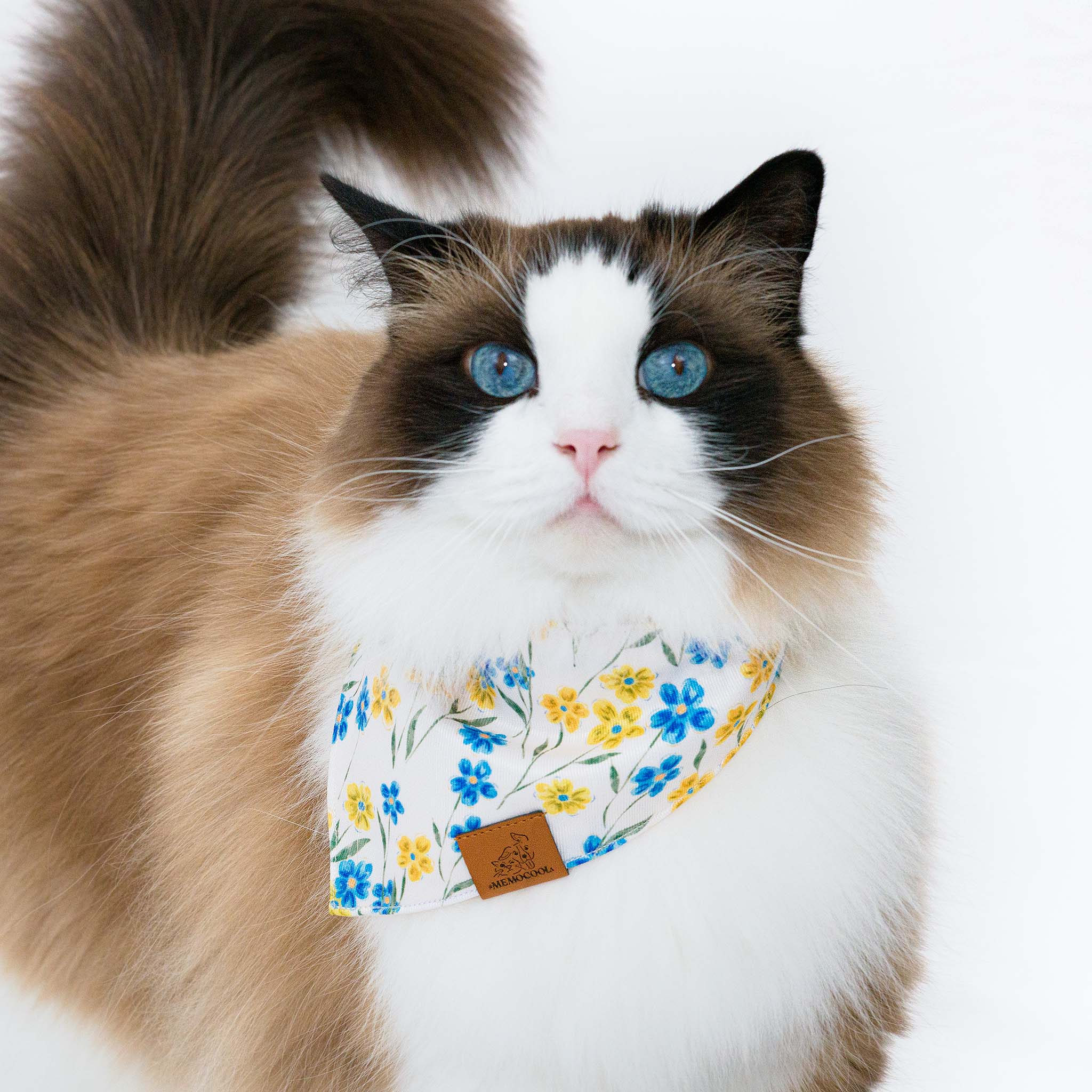 Blue Yellow Wild Flower Pet Bandana