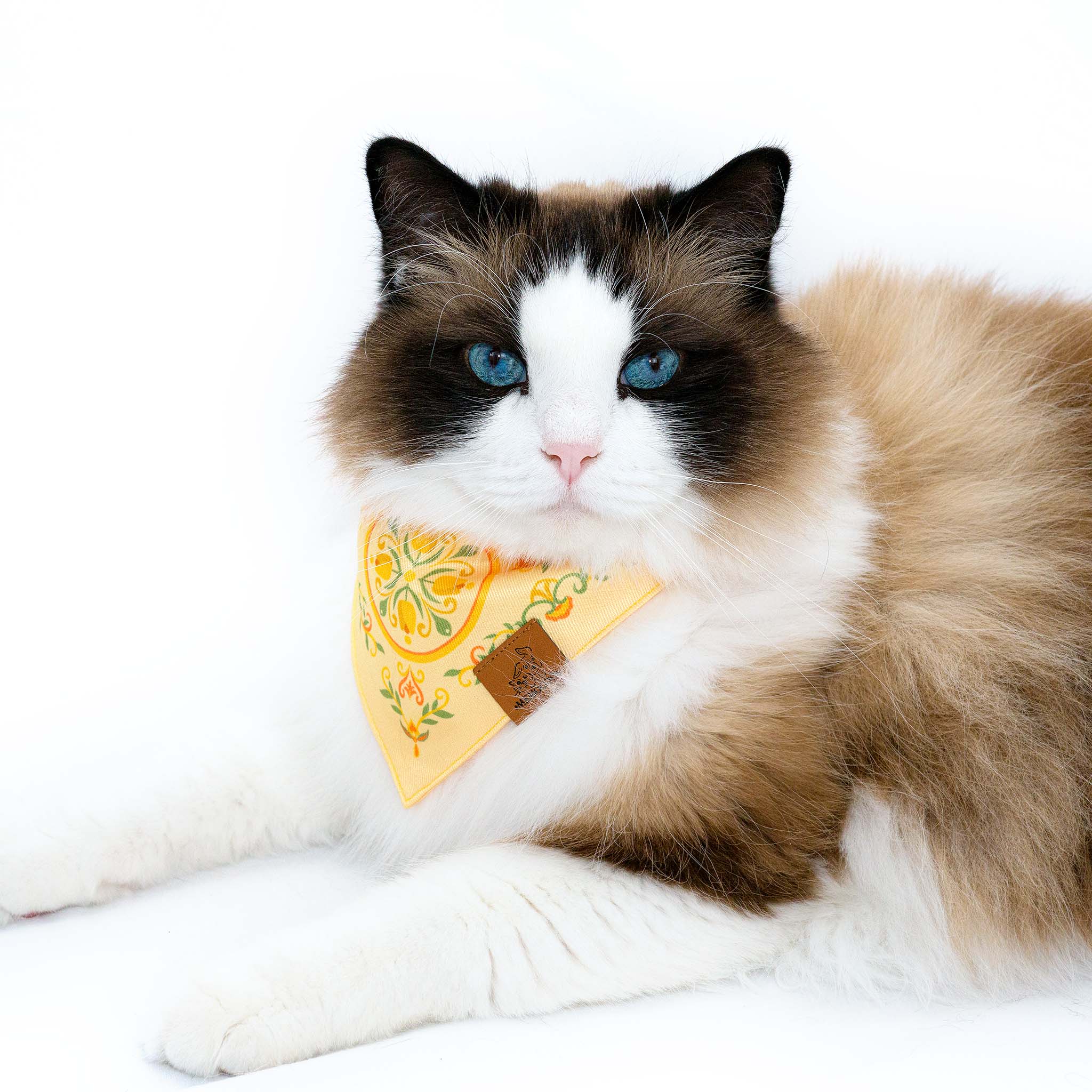 Energetic Yellow Tulip Pet Bandana