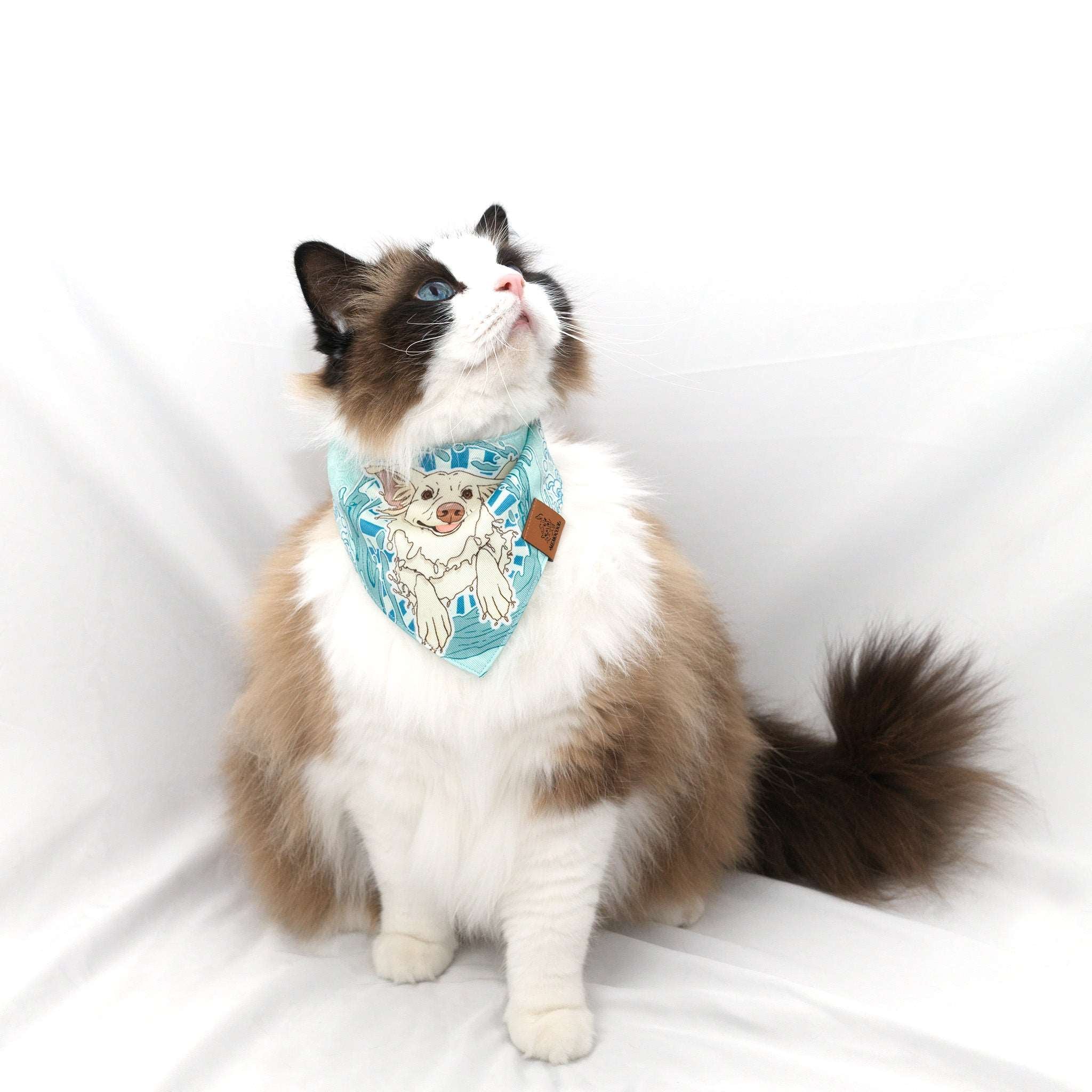 MemoCool Pet - Doggo Ride the Wave Pet Bandana - V-shape for perfect fit - Ragdoll Cat