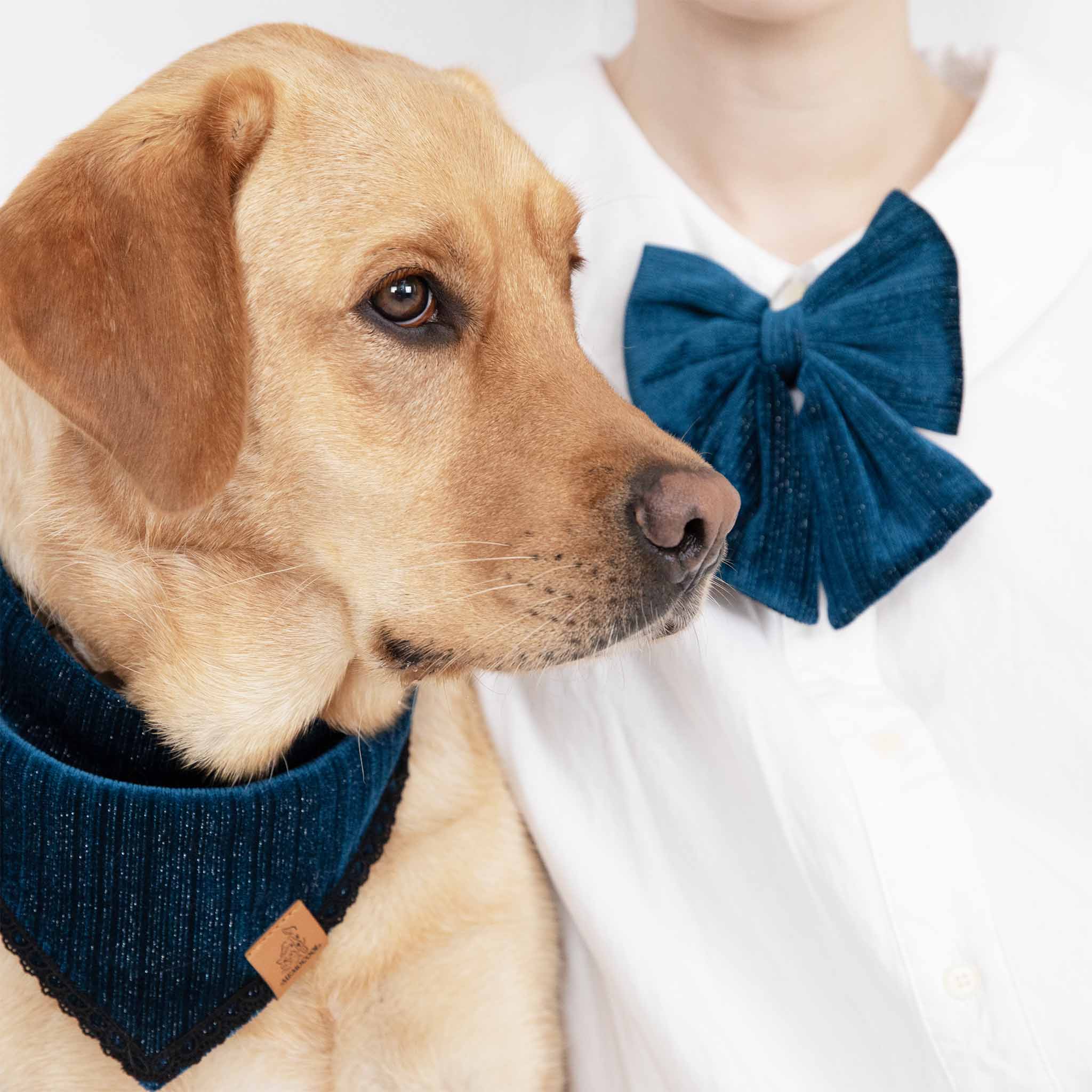 MemoCool Pet - Golden Classics Collection - Velvet Blue Style & Match Bundle - Pet Bandana - Bow Tie