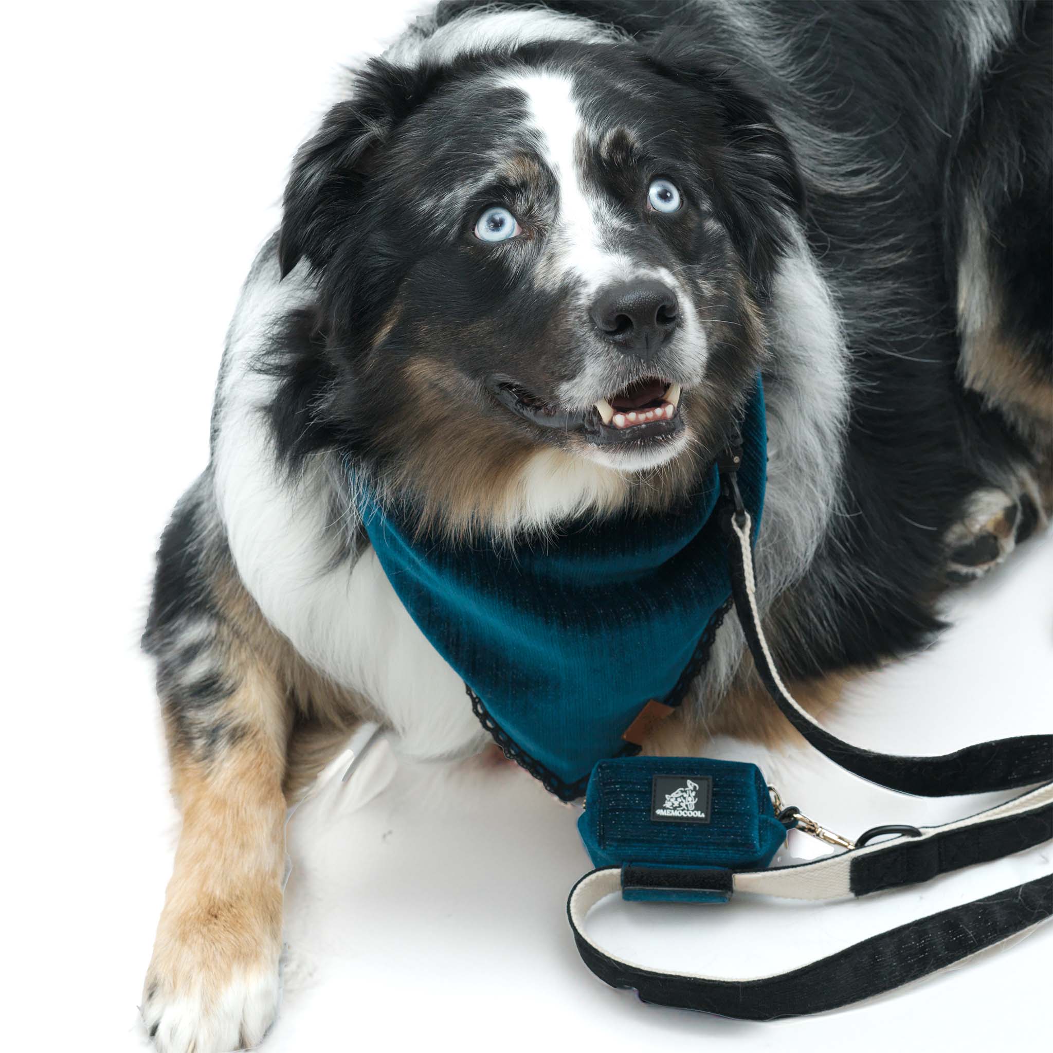 Velvet Leather Ultimate Poop Bag Holder: Blue