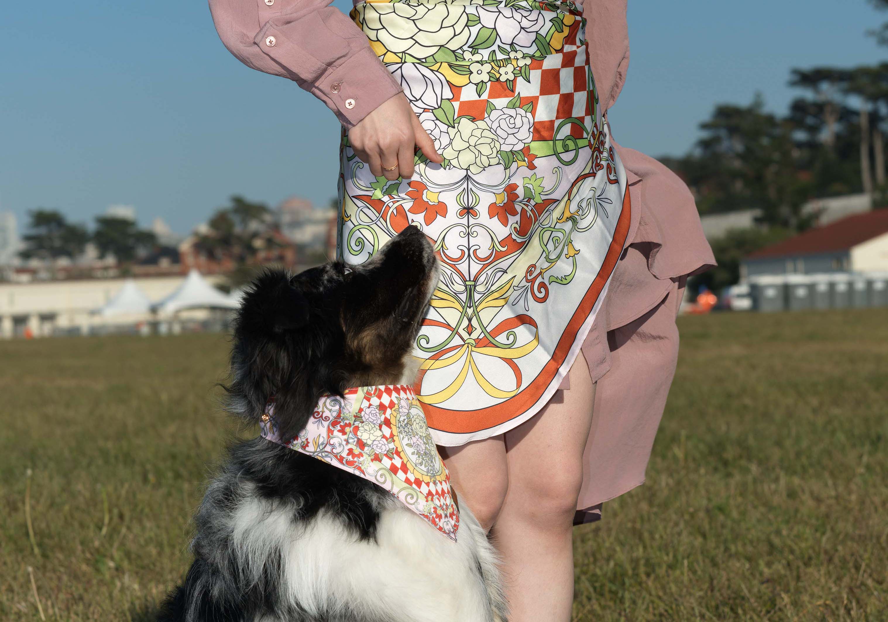 MemoCool Pet - The Gardenia Collection - Red - Pet Bandana - Human Silk Scarf - Paired Style