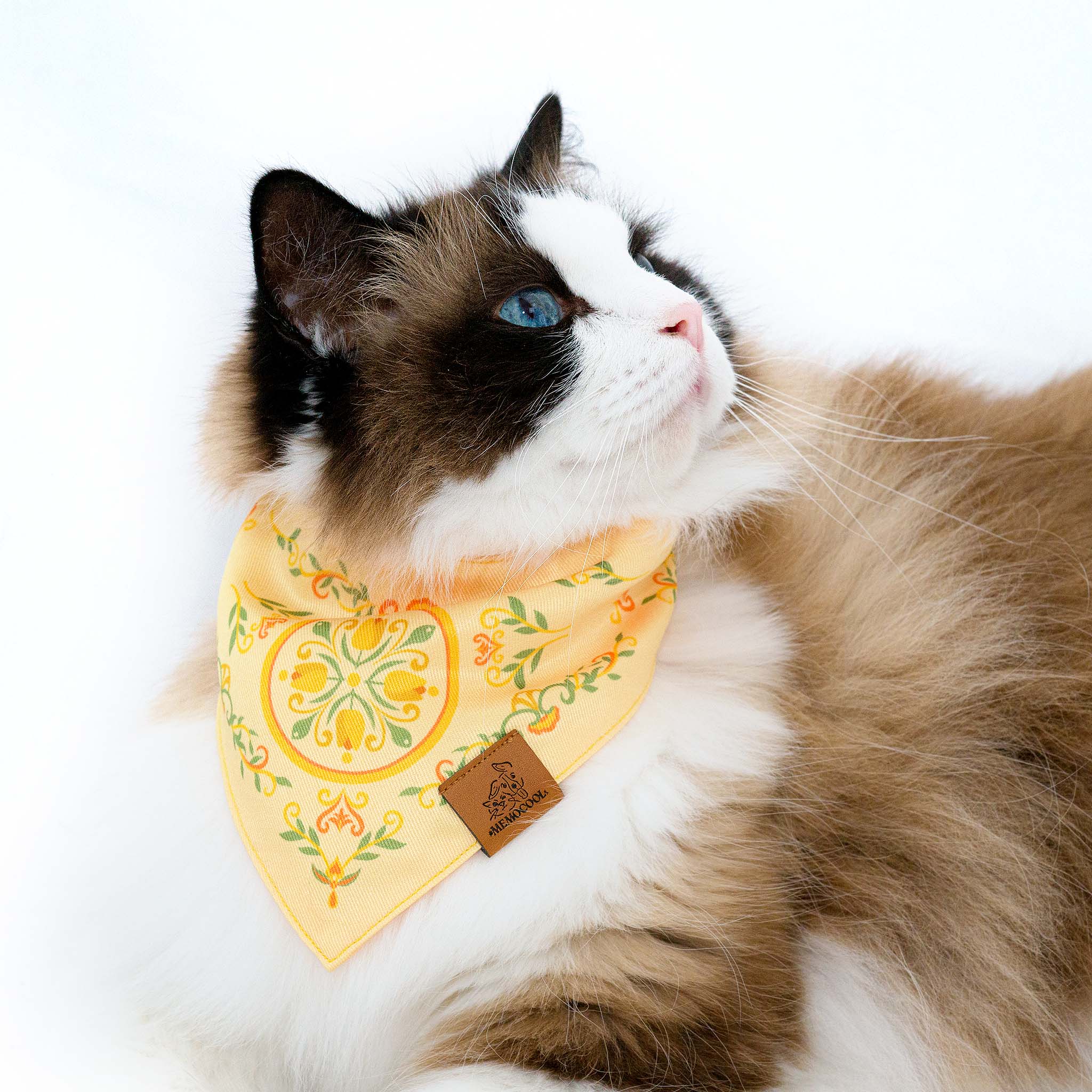 MemoCool Pet - Vintage Garden - Energetic Yellow Tulip Pet Bandana - Clip-On Dog Bandana - Cat - Studio Image