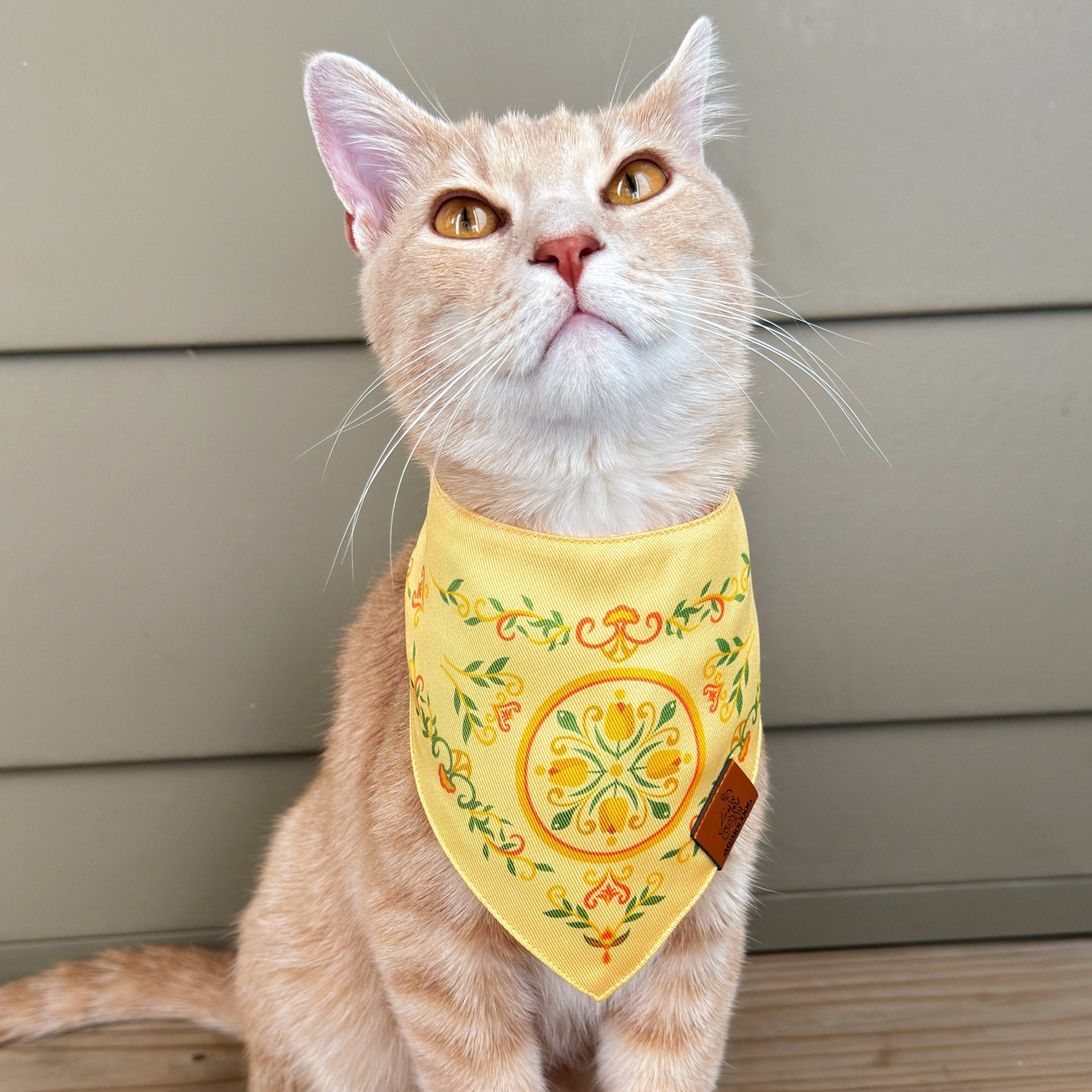 MemoCool Pet - Vintage Garden - Energetic Yellow Tulip Pet Bandana - Clip-On Dog Bandana - Influencer - UGC - StormyandWhisky