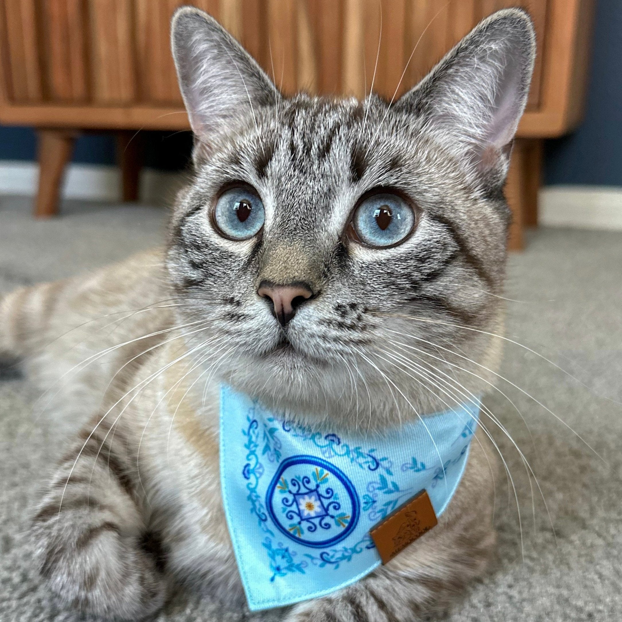 MemoCool Pet - Vintage Garden - Nostalgic Blue Daisy - Pet Bandana - Cat Bandana - Clip-On - Influencer Content - SiameseSisters